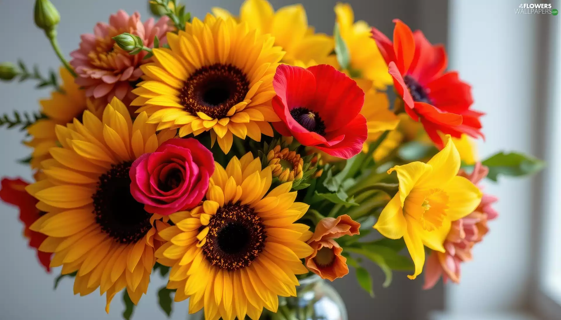 bouquet, Nice sunflowers, papavers