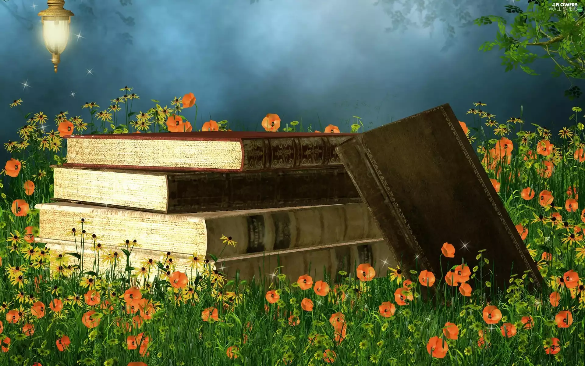 papavers, Books, Meadow