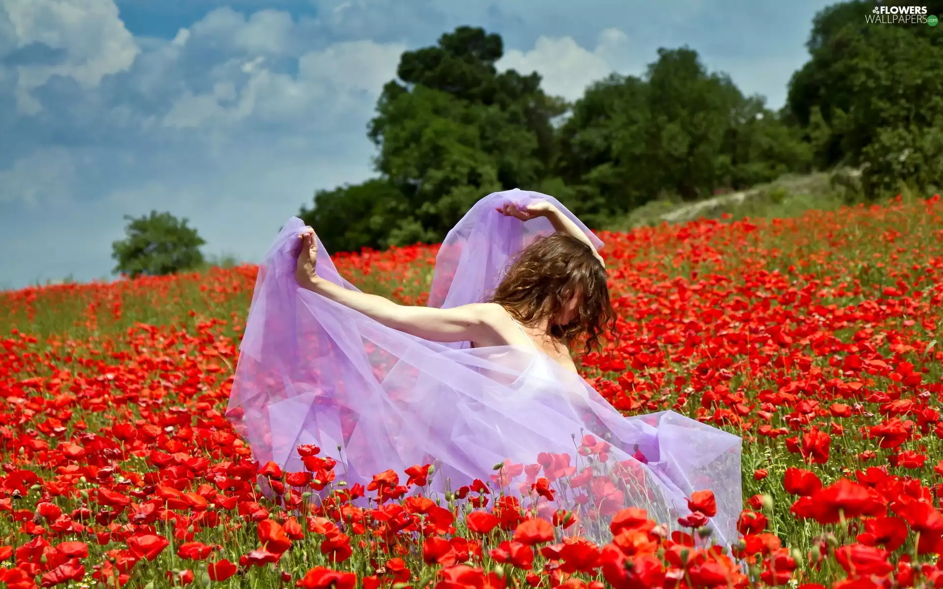papavers, Women, Meadow