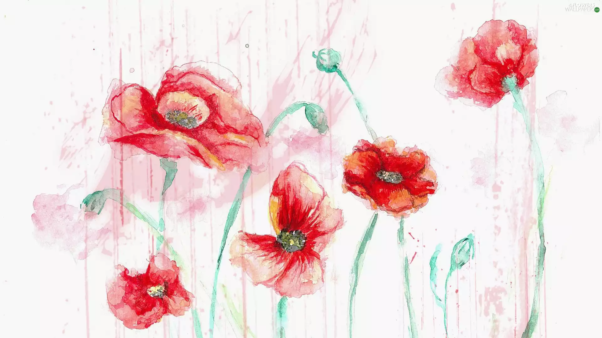 papavers, Paintography