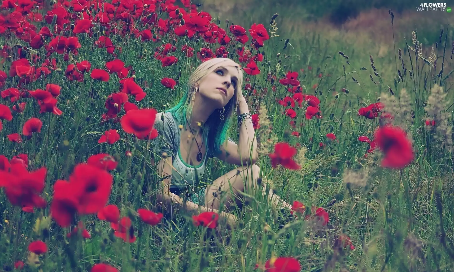 Women, very sensible, papavers, grass, Red, Blonde