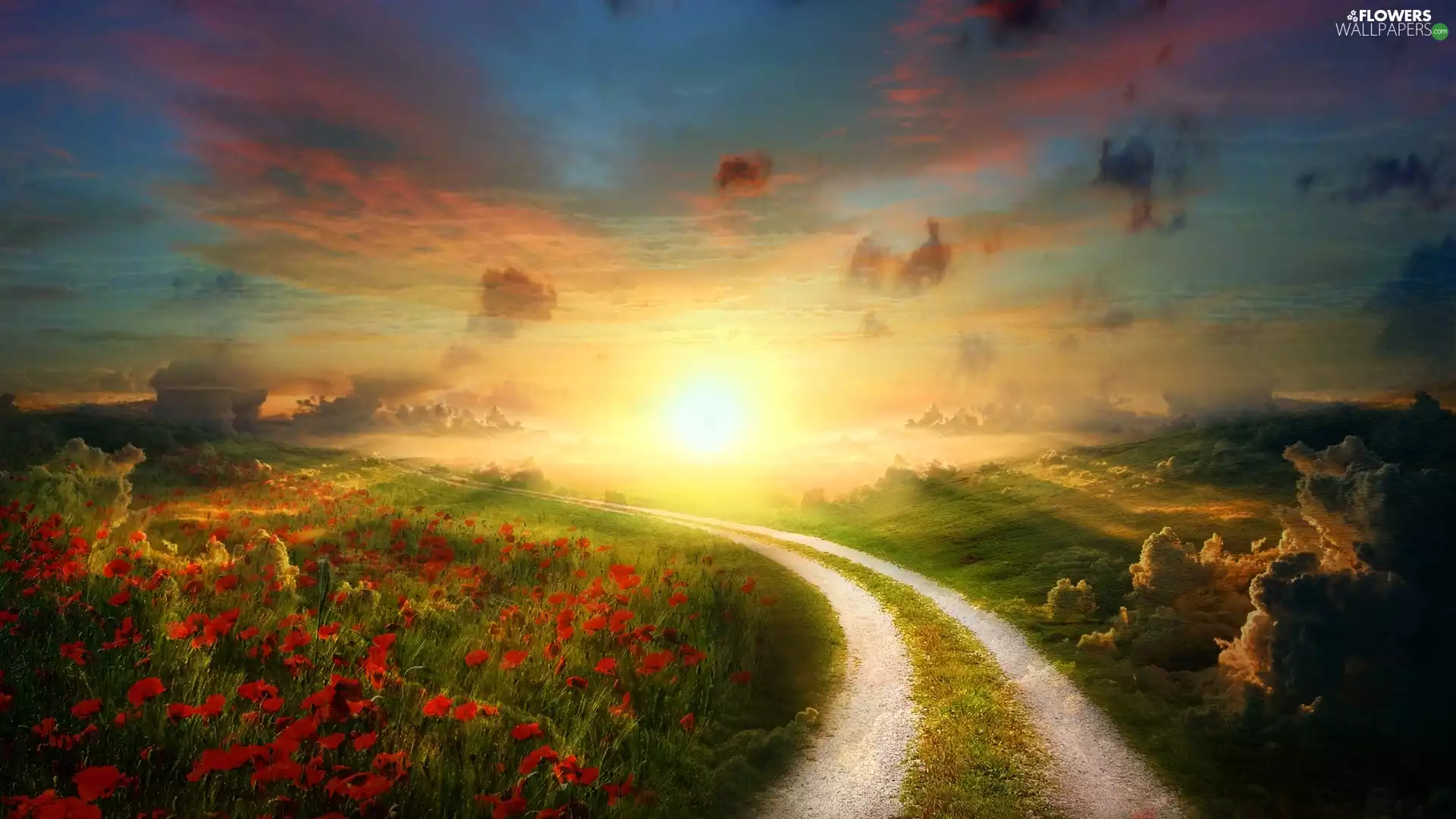 field, Way, rays, papavers, Great Sunsets