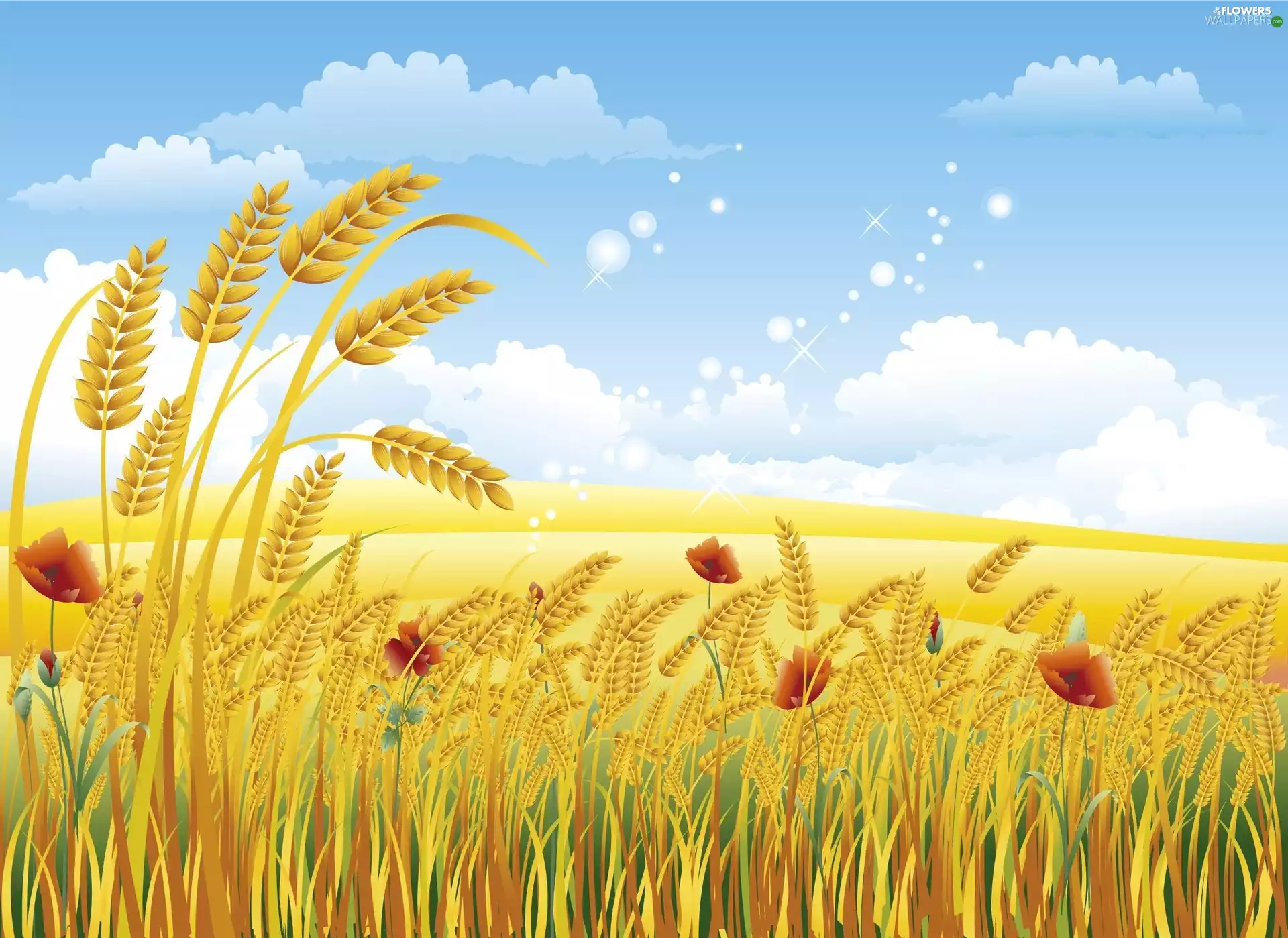 papavers, corn, wheat