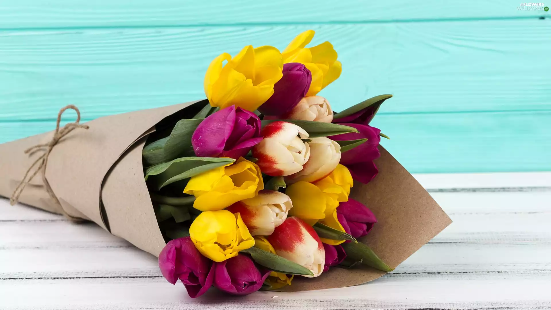 Tulips, Colourfull Flowers, paper, twine, bouquet, color