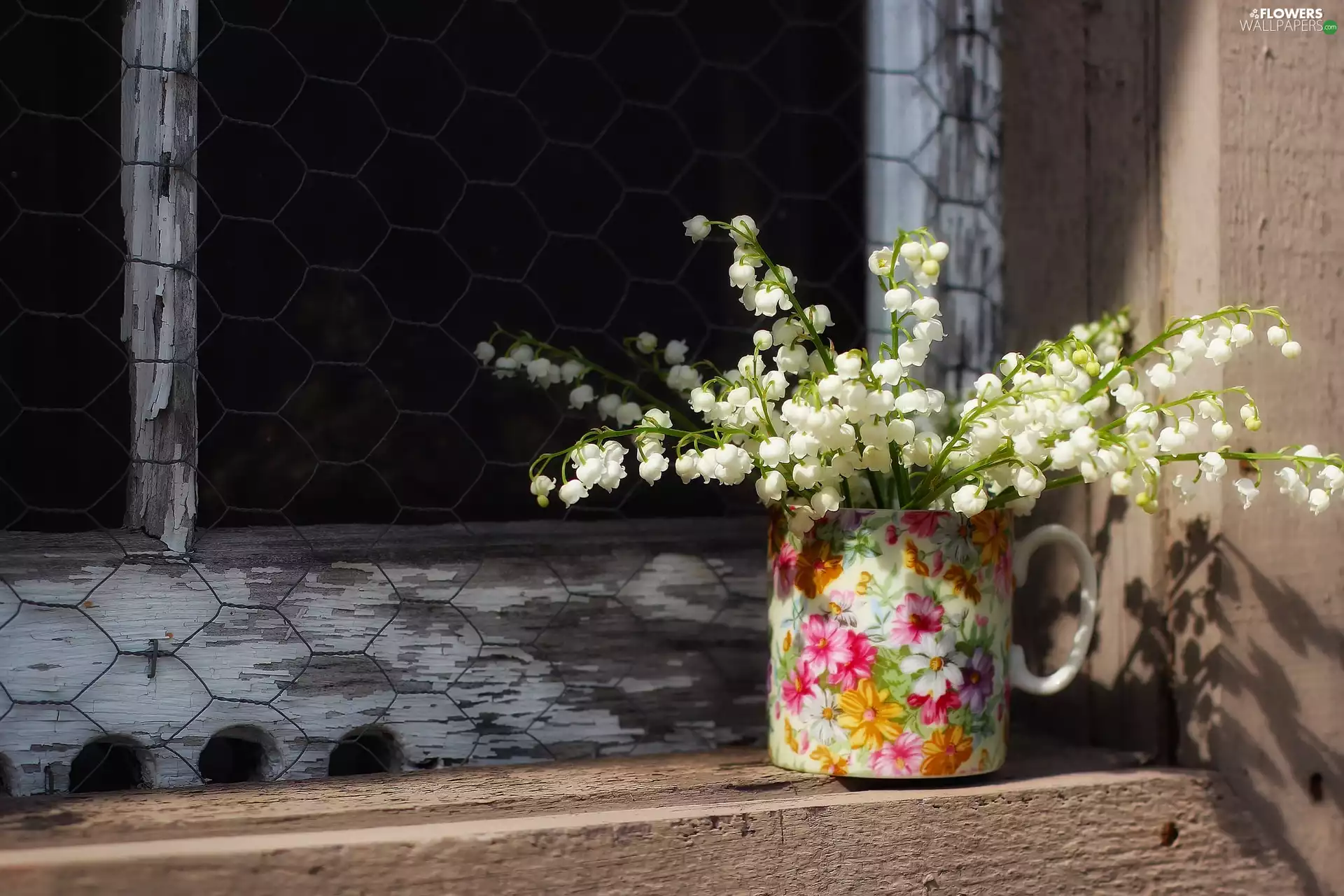 parapet, Window, Lily of the Valley, Cup, small bunch