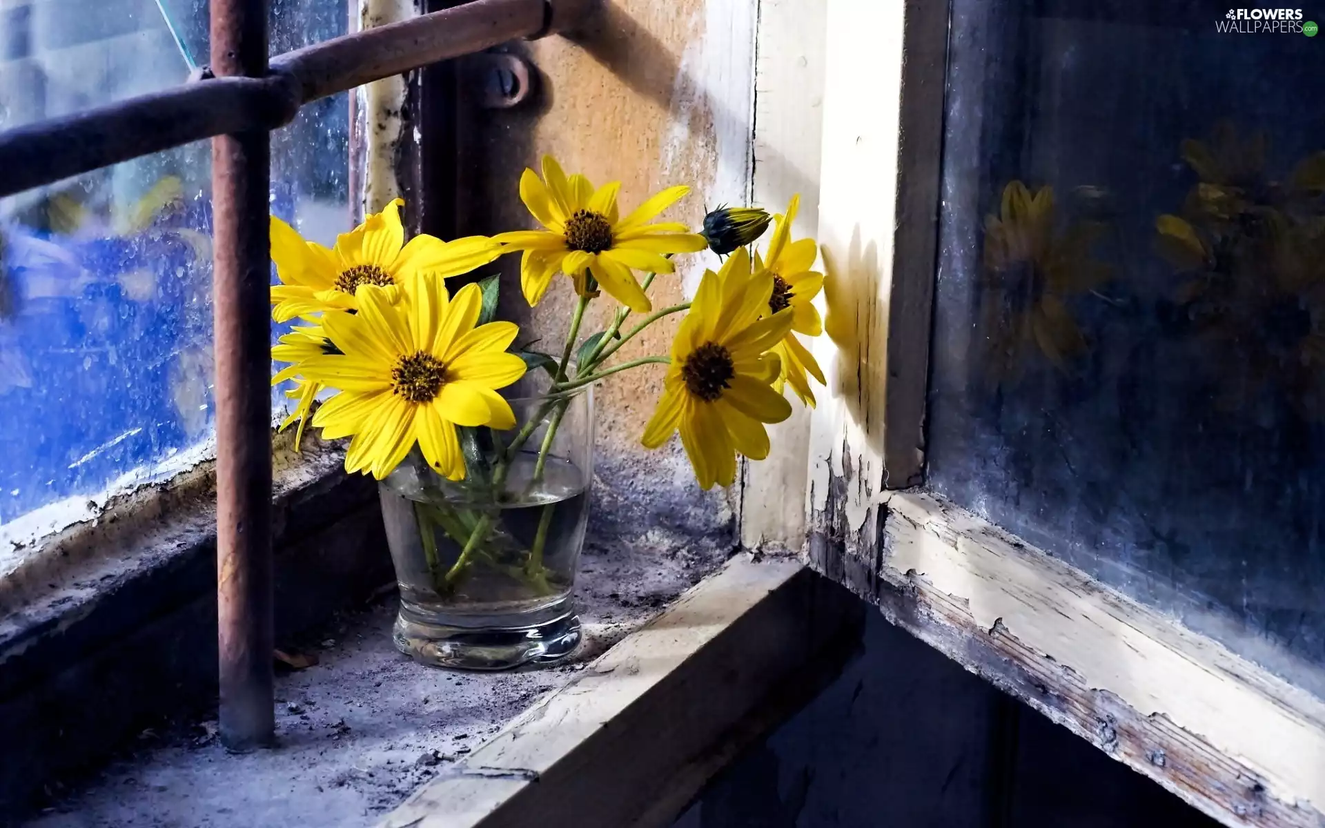 Flowers, bouquet, Window, parapet, cup, Yellow