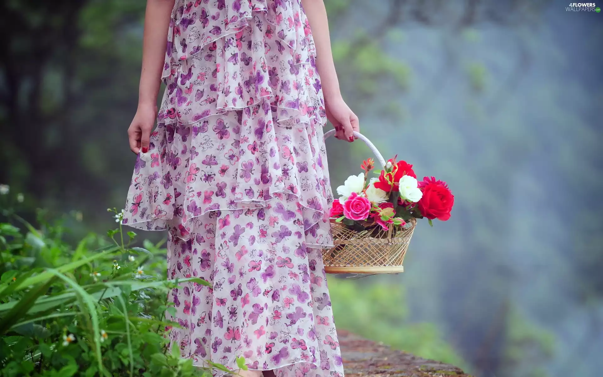 forest, Path, basket, Women, roses