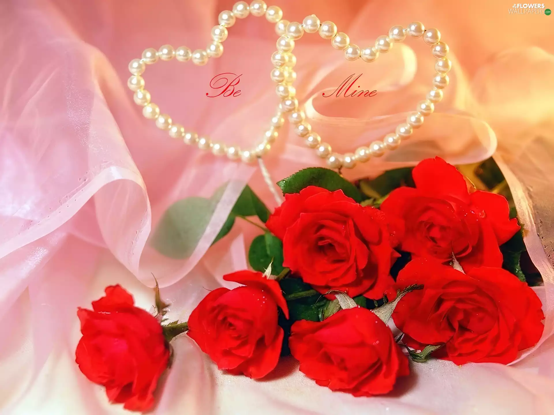 White, Pearl, roses, hearts, Red