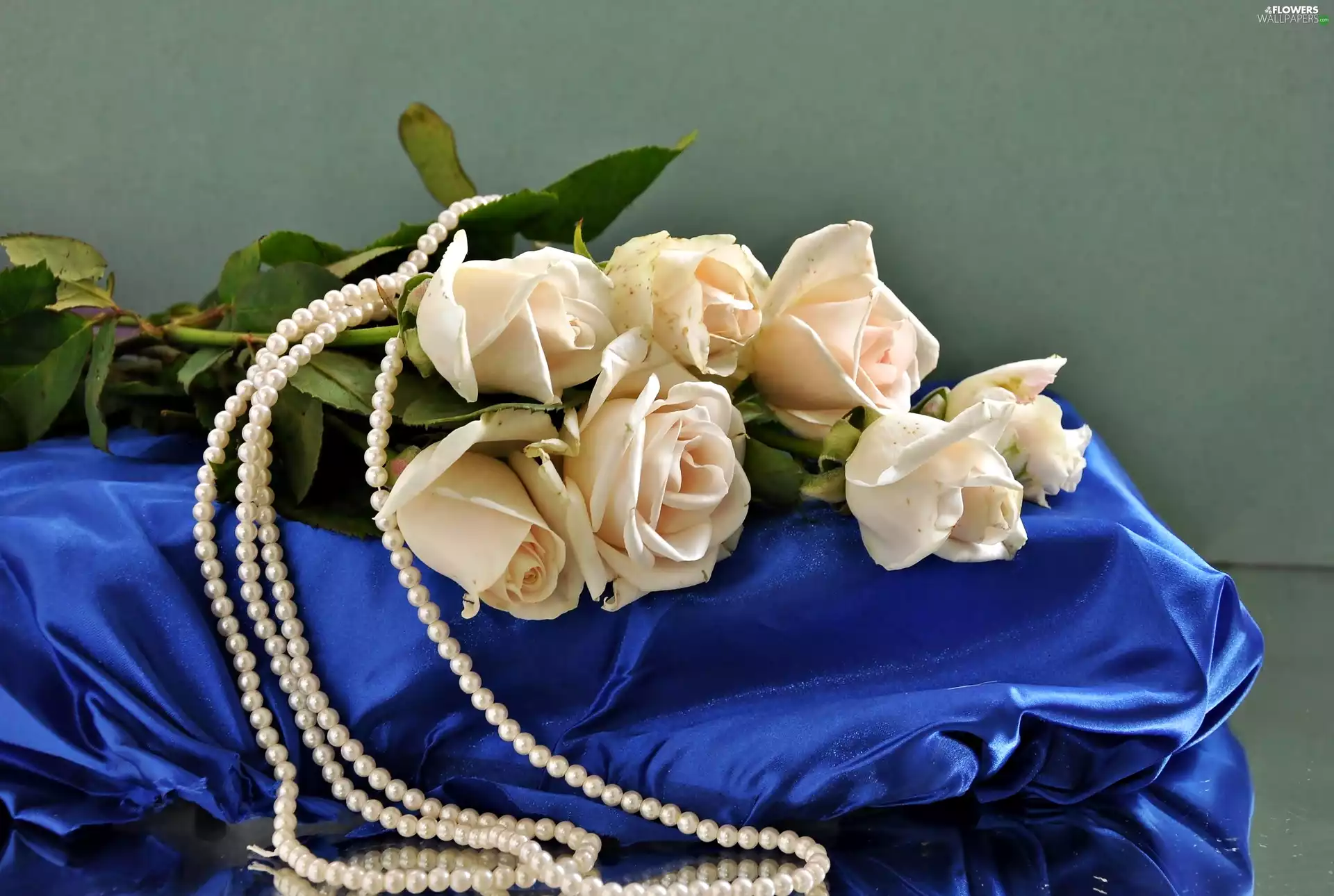 Pearl, White, roses