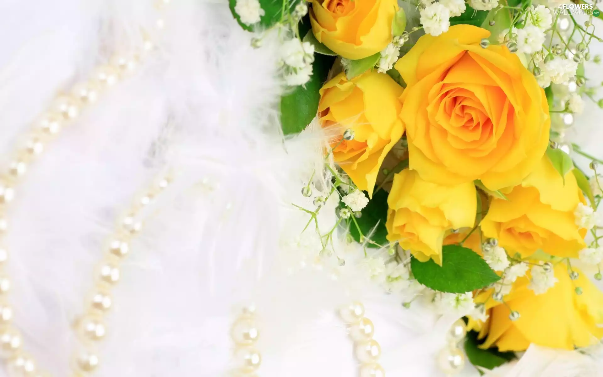 Pearl, Yellow, roses