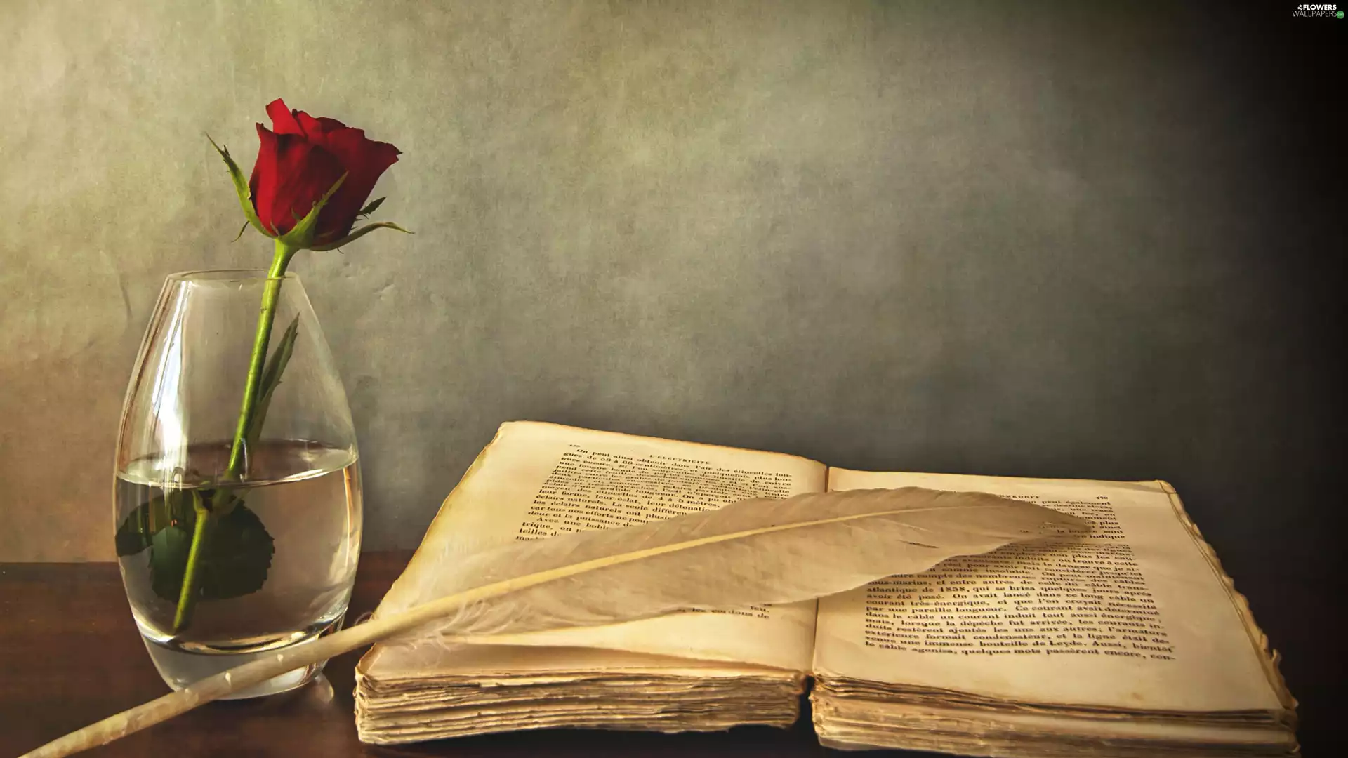rose, Book, gooses, pen, Vase, red hot