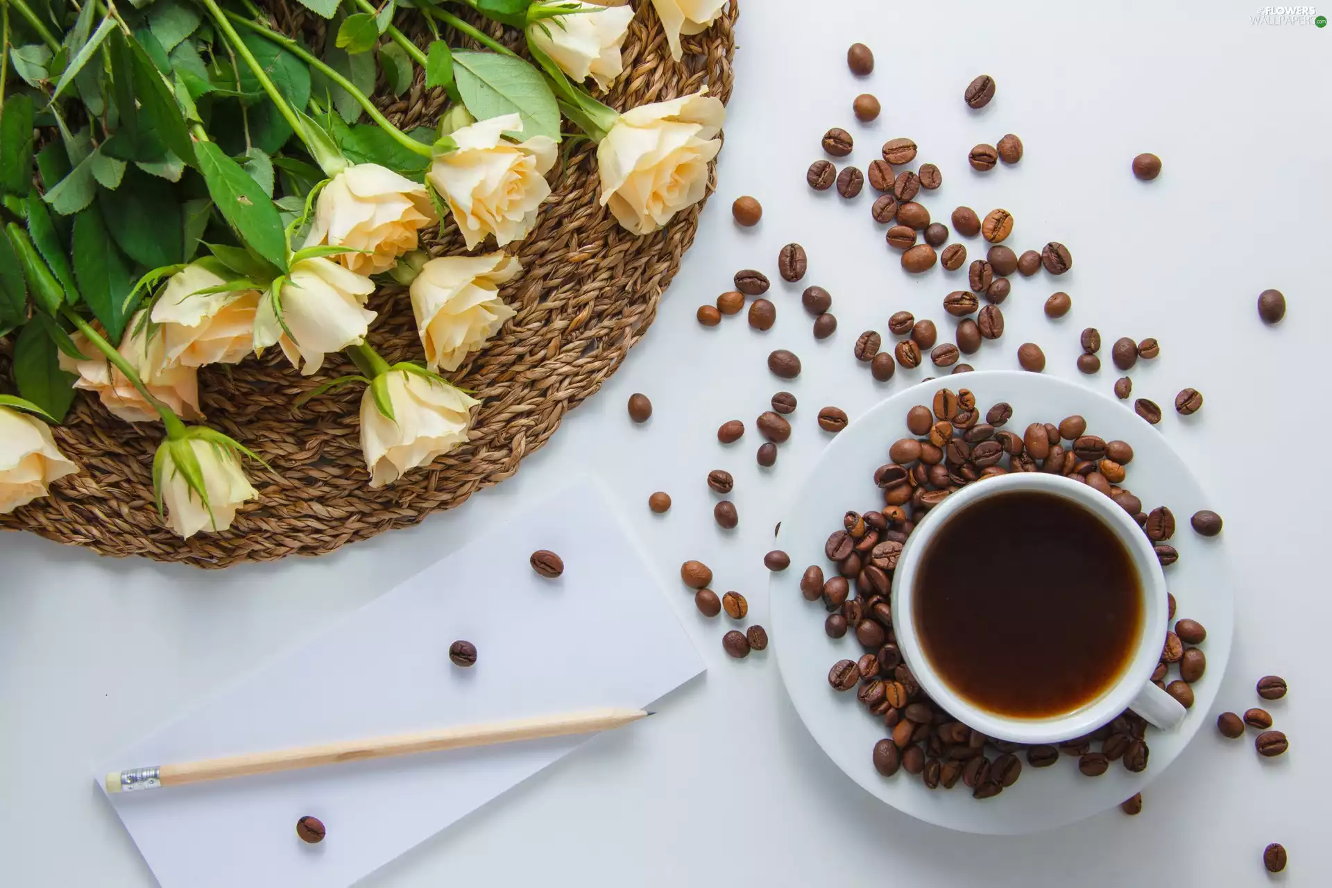 grains, White, roses, card, Flowers, coffee, cup, pencil