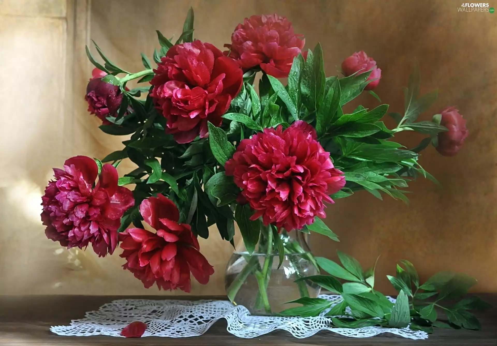 Peonies, bowl