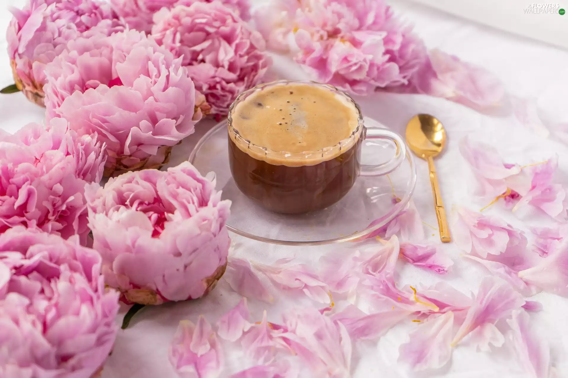 saucer, coffee, Pink, Peonies, teaspoon, cup