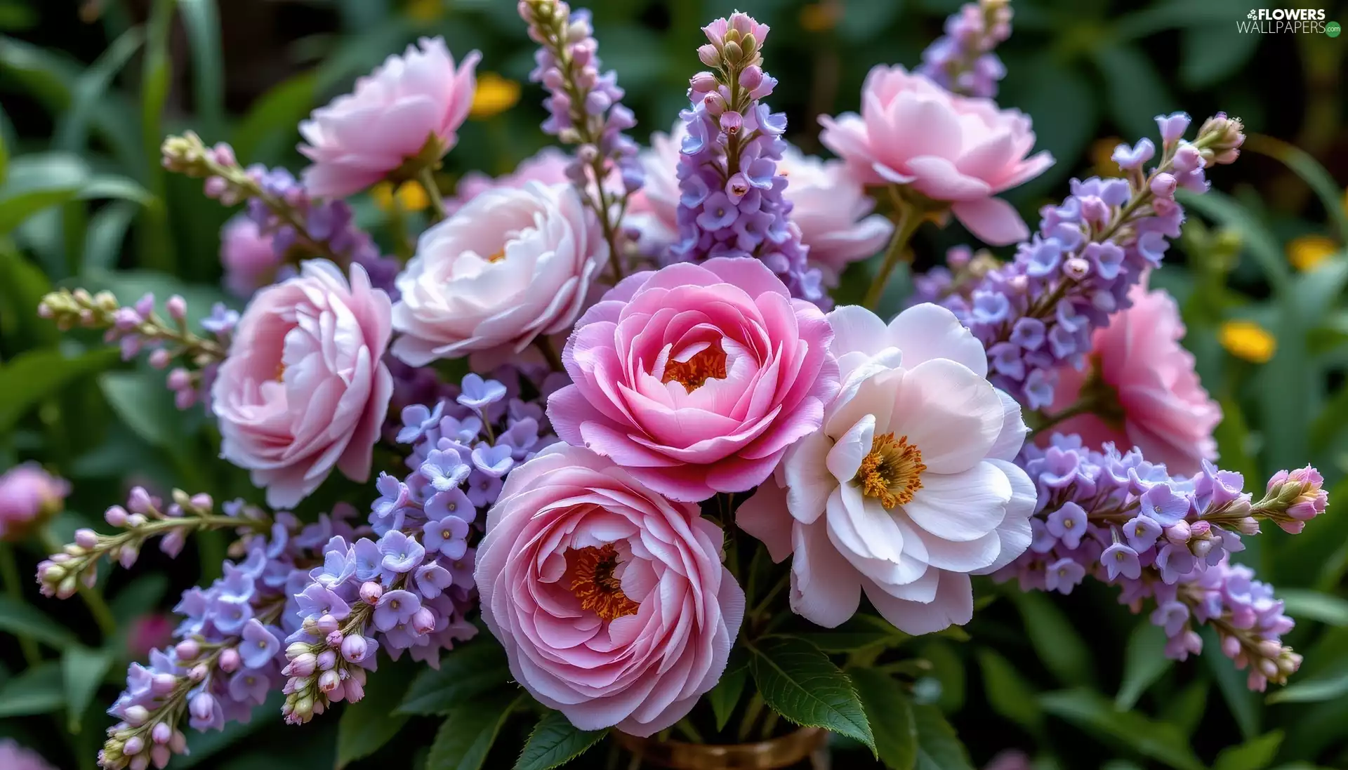 Peonies, bouquet, Flowers