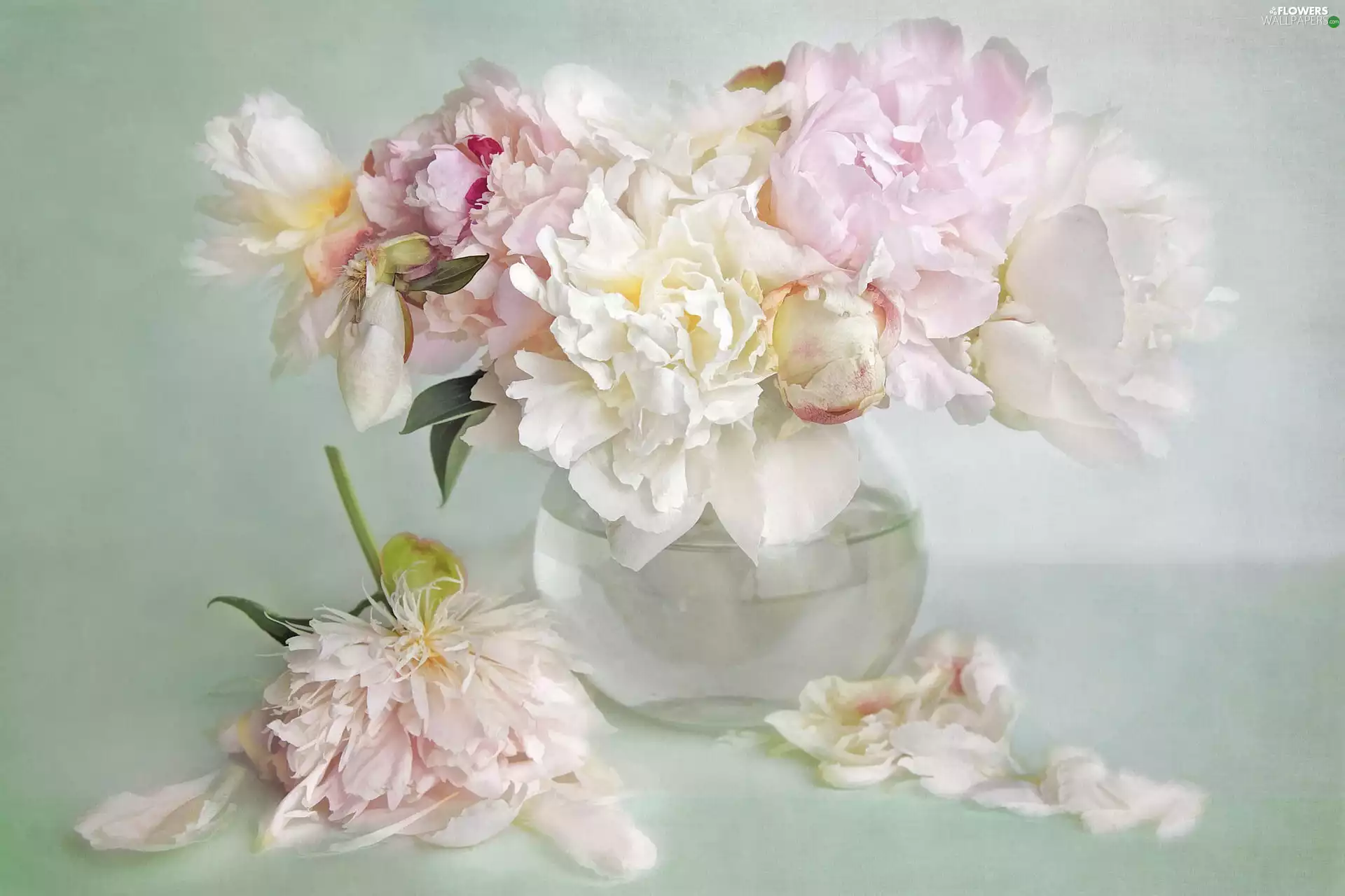 Flowers, Vase, graphics, Peonies