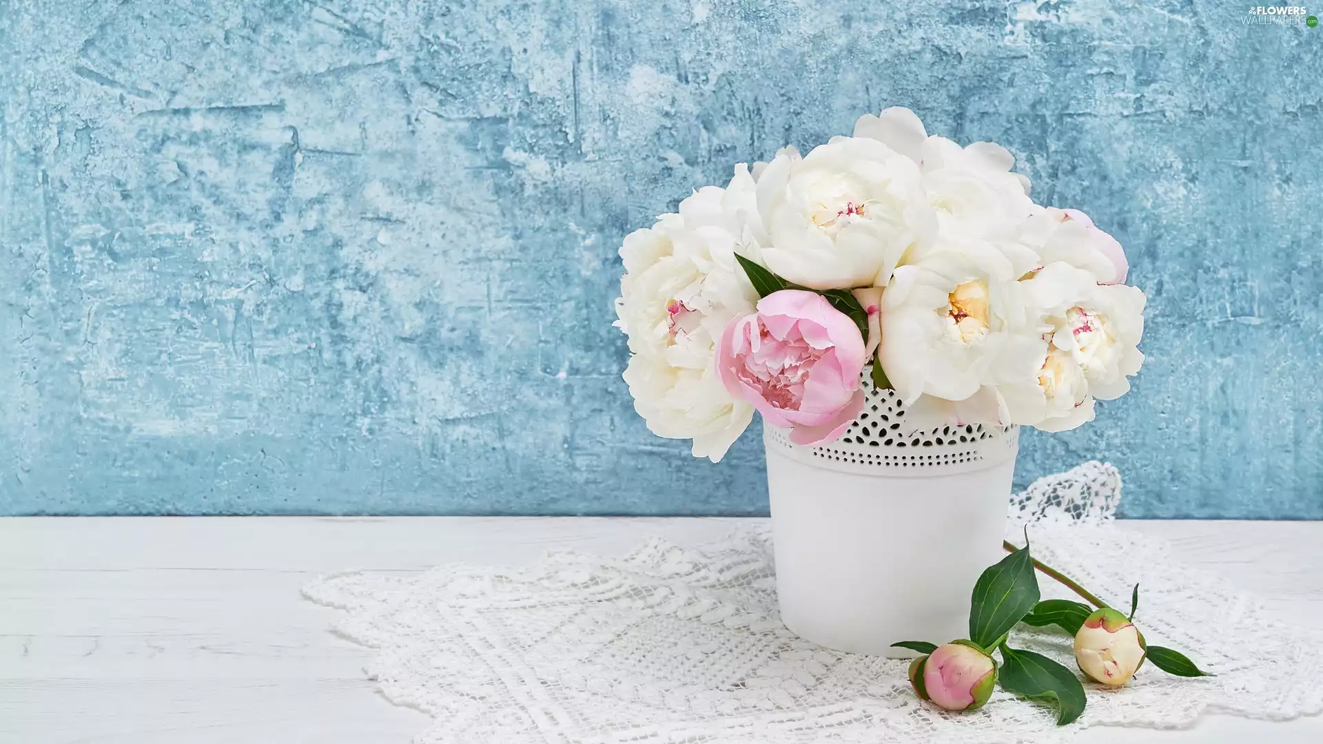 Peonies, Two cars, vase, Buds, White, Pink, White, napkin