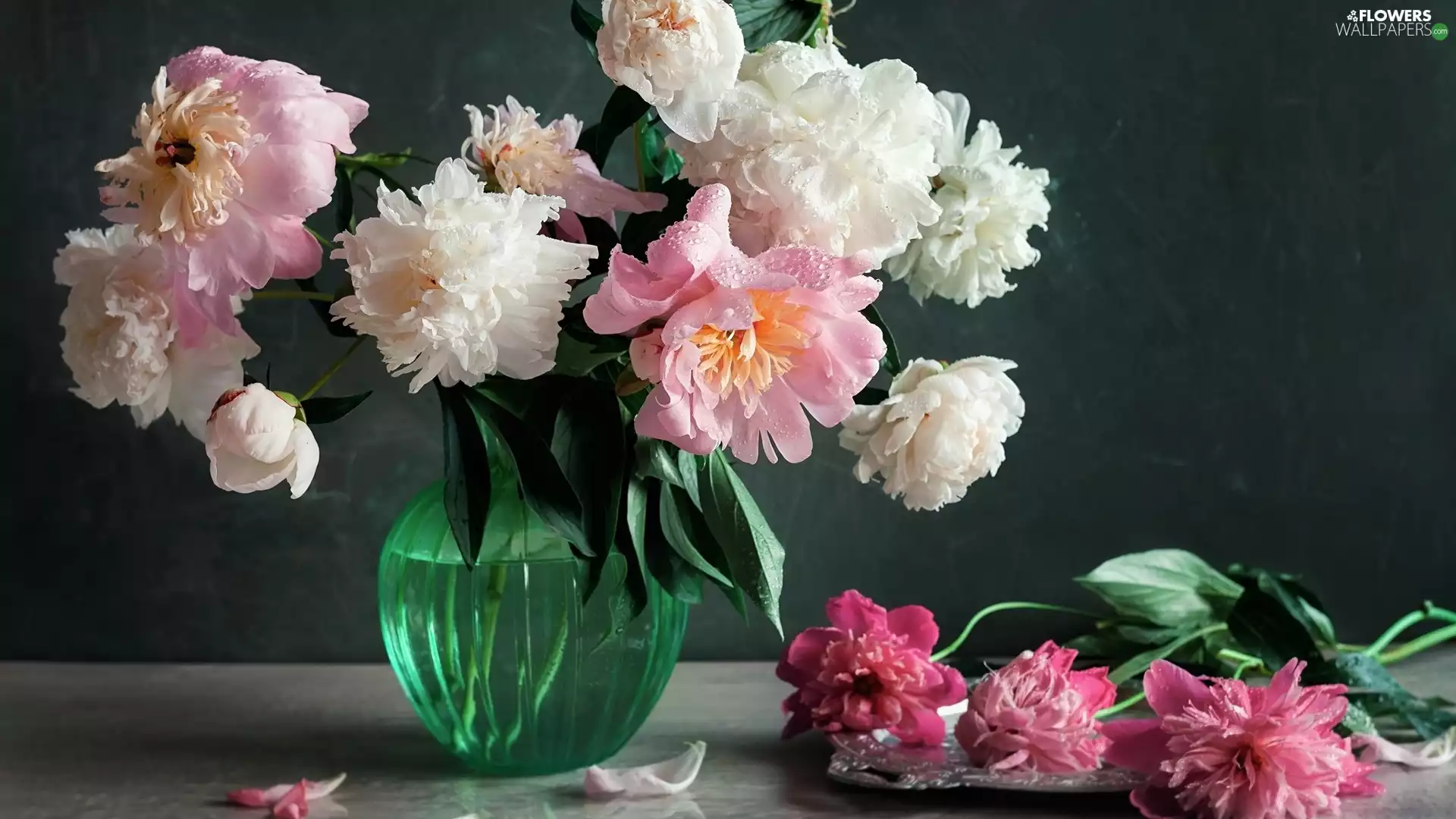 Peonies, Green, Vase