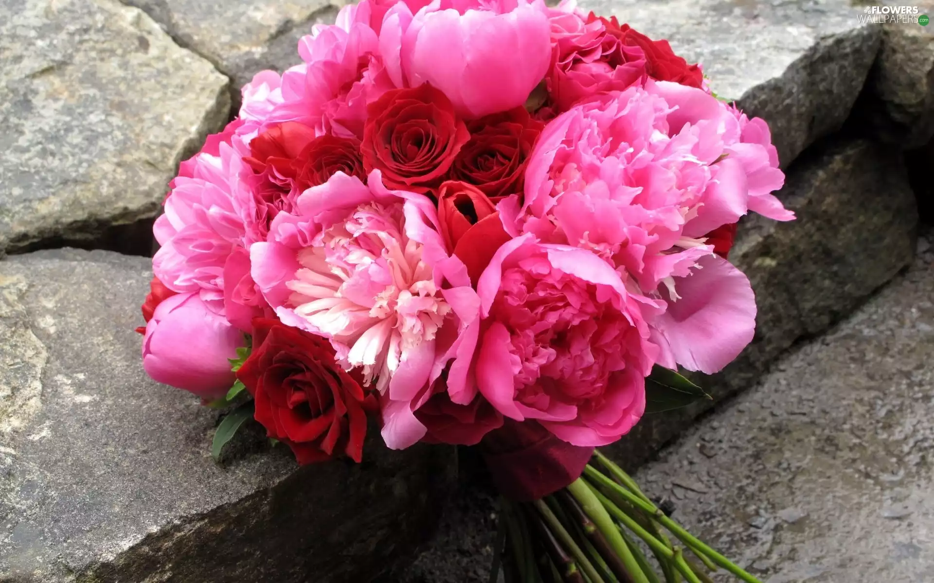 peony, bouquet, pink