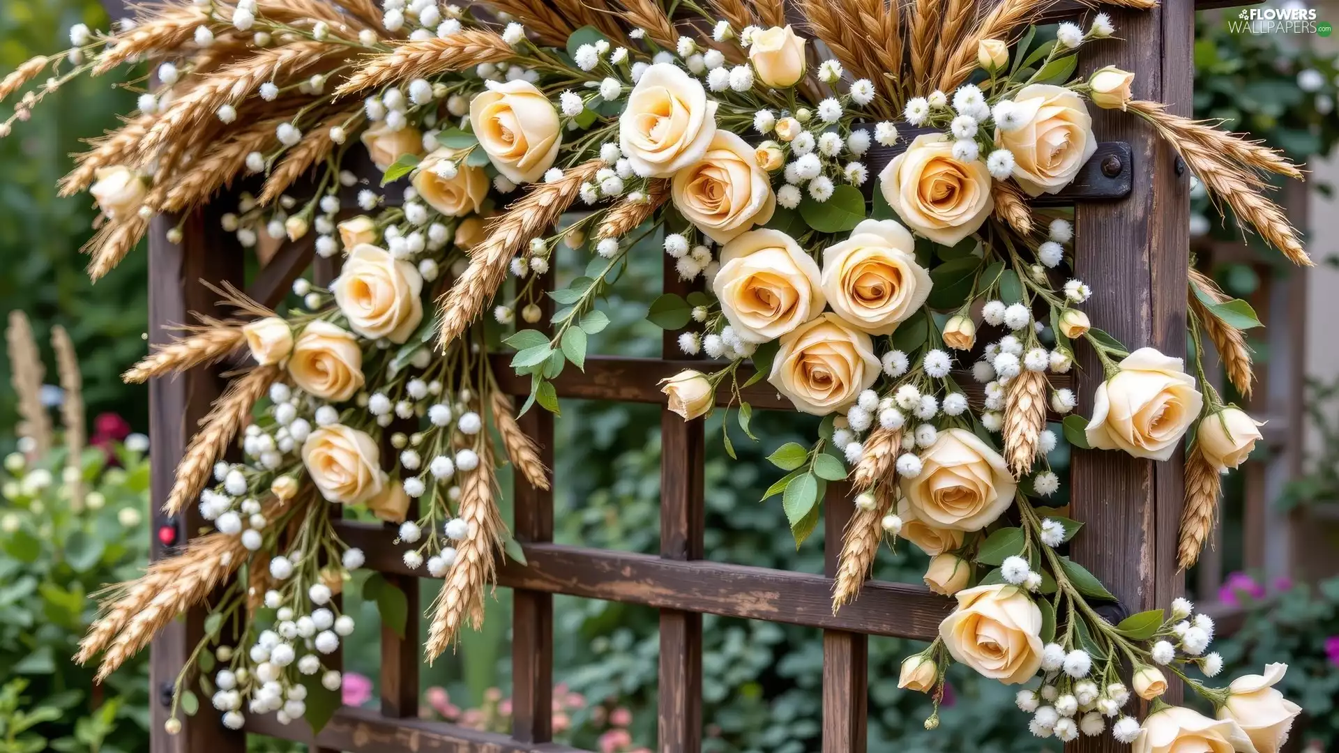 cereals, pergola, roses, Ears, cream