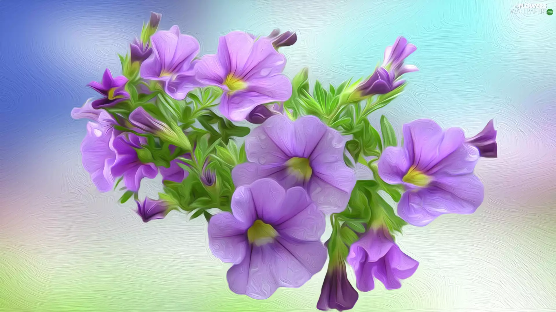 2D Graphics, Flowers, petunias