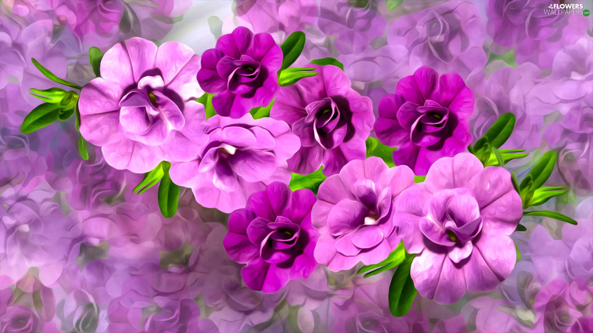 graphics, petunias, Colorful Background, Flowers