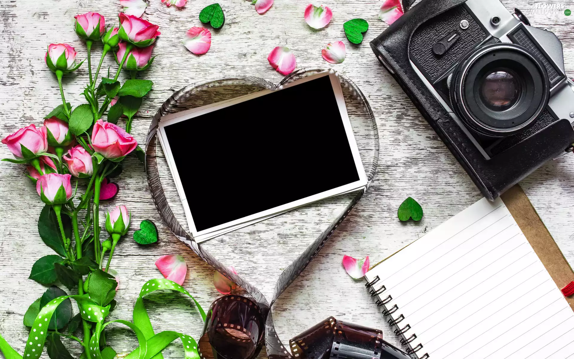 Camera, note-book, picture, roses, Flowers