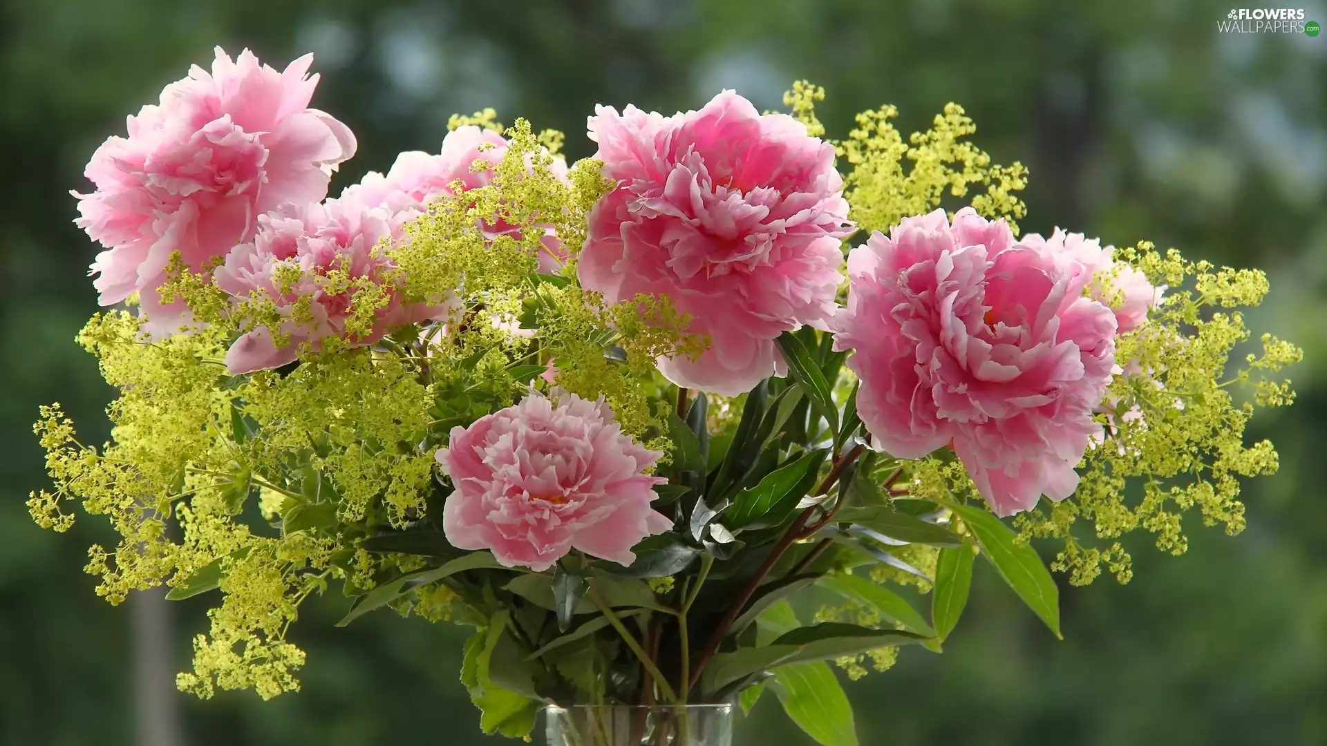 bouquet, Peonies, Vase, Pink