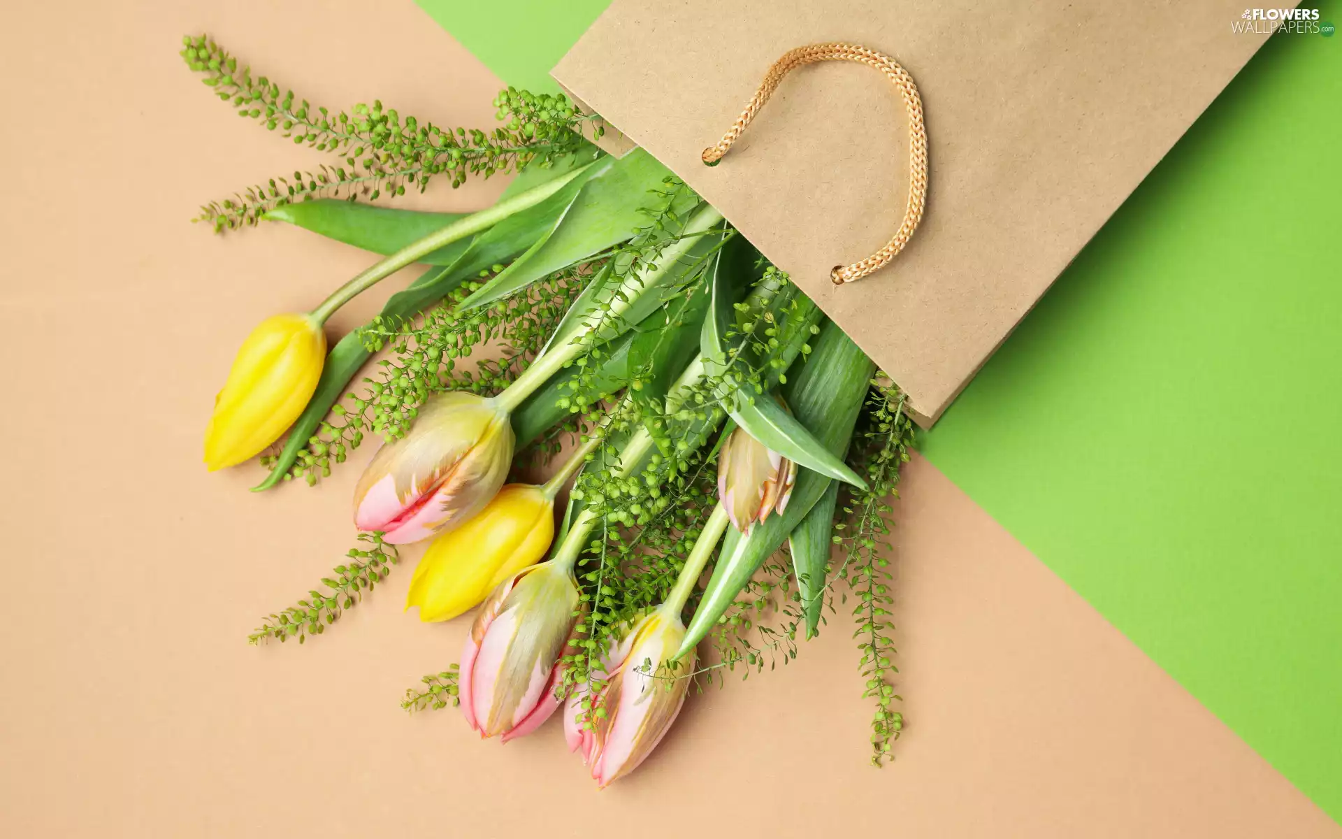 package, Flowers, Yellow, Pink, Tulips, bouquet
