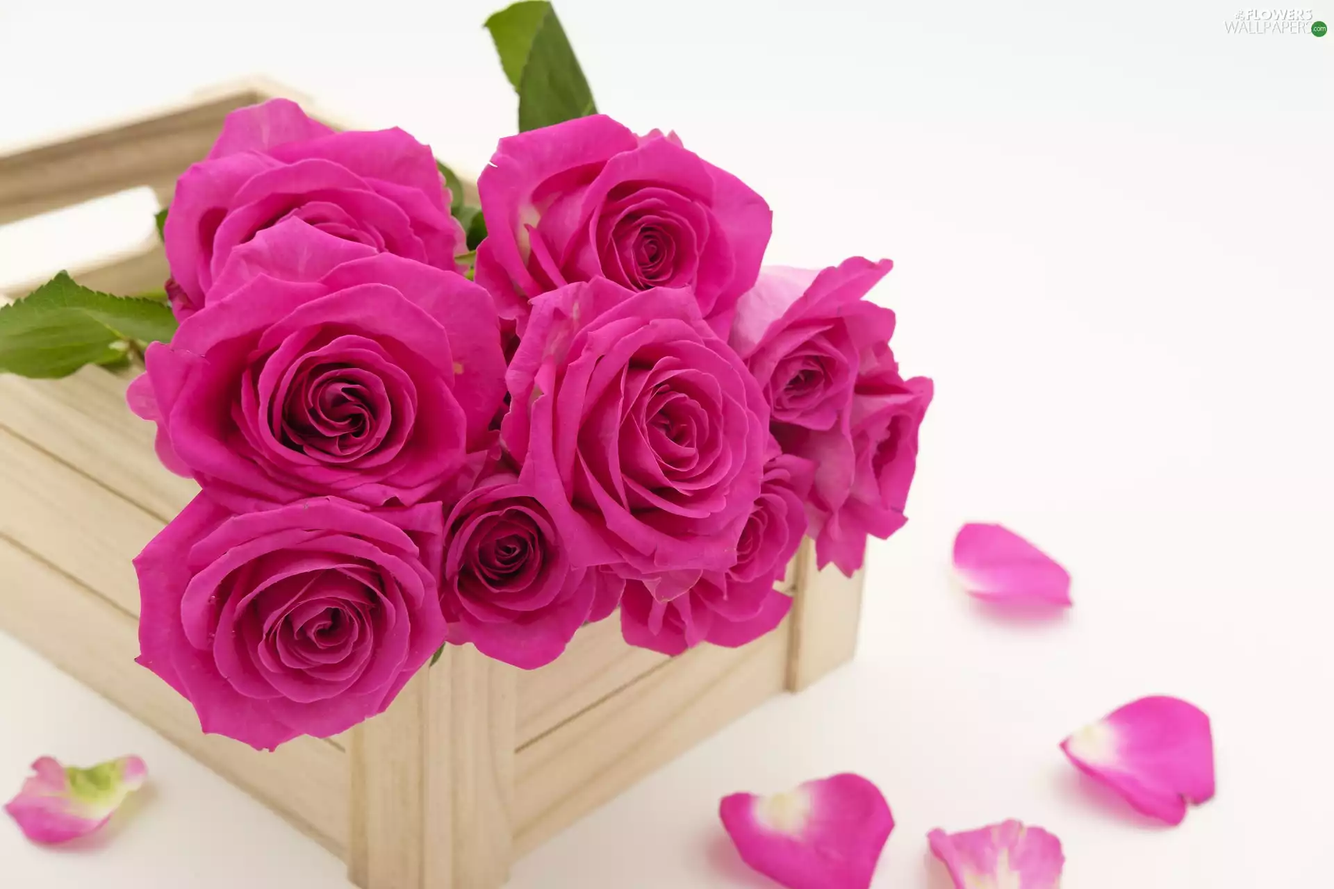 roses, bouquet, box, Pink, Flowers, Wood, flakes