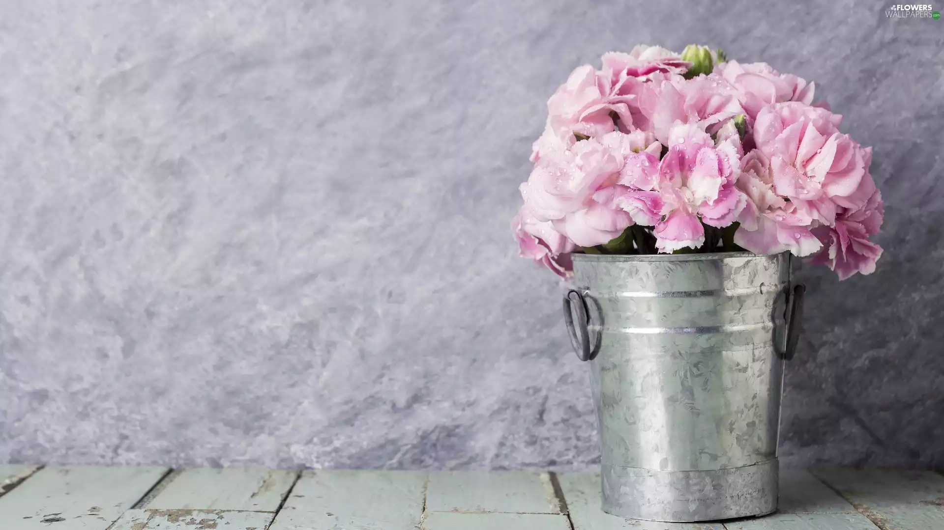 Bucket, Flowers, Clove Pink