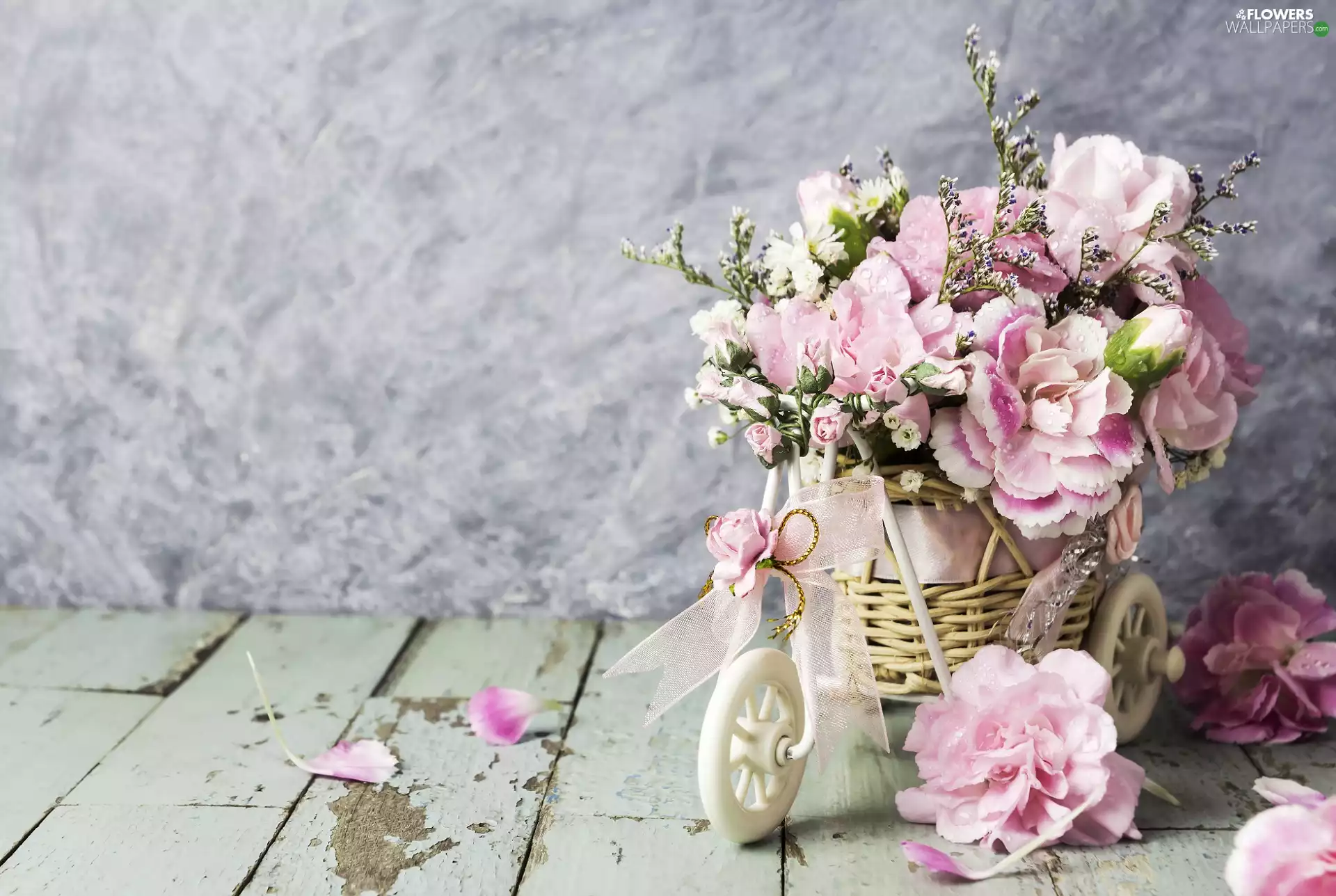 bouquet, decorative, Clove Pink, boarding, Flowers, Bicycle