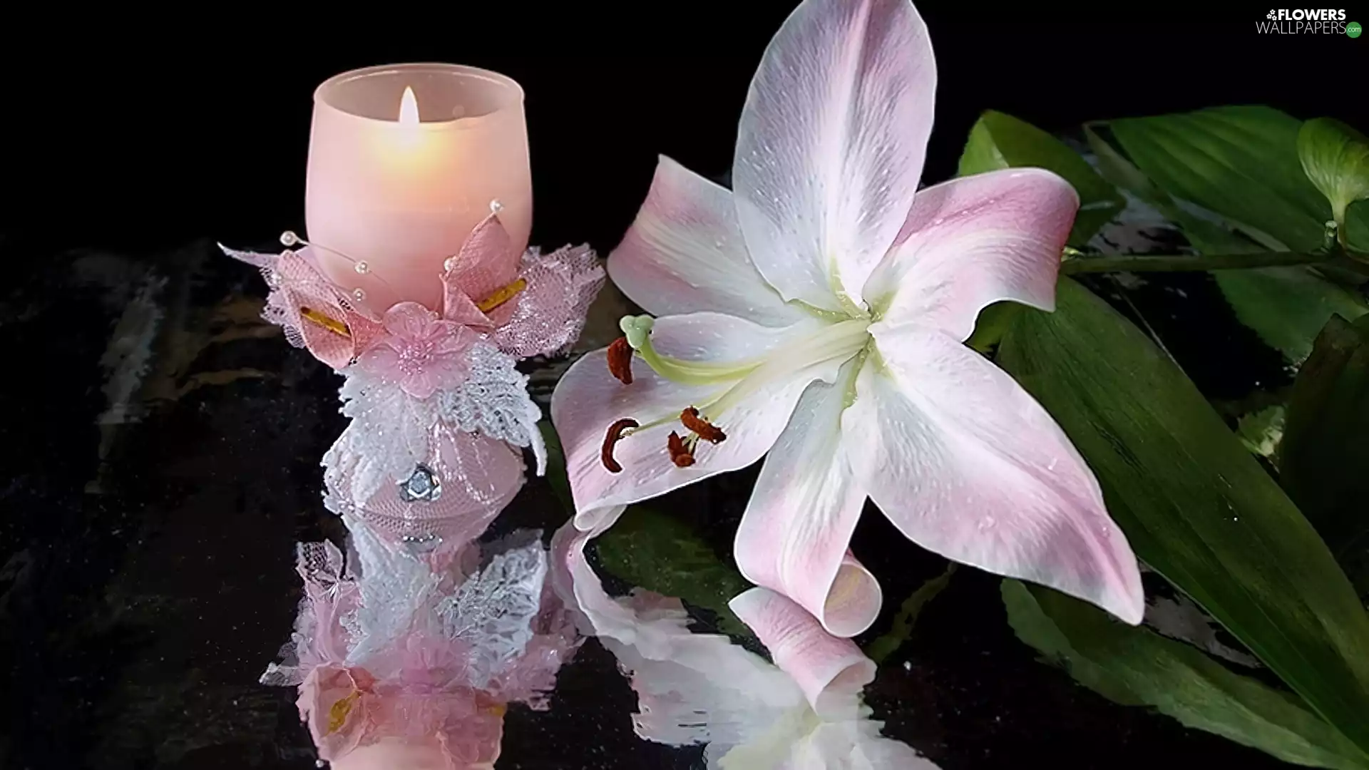 composition, Lily, candle, Pink