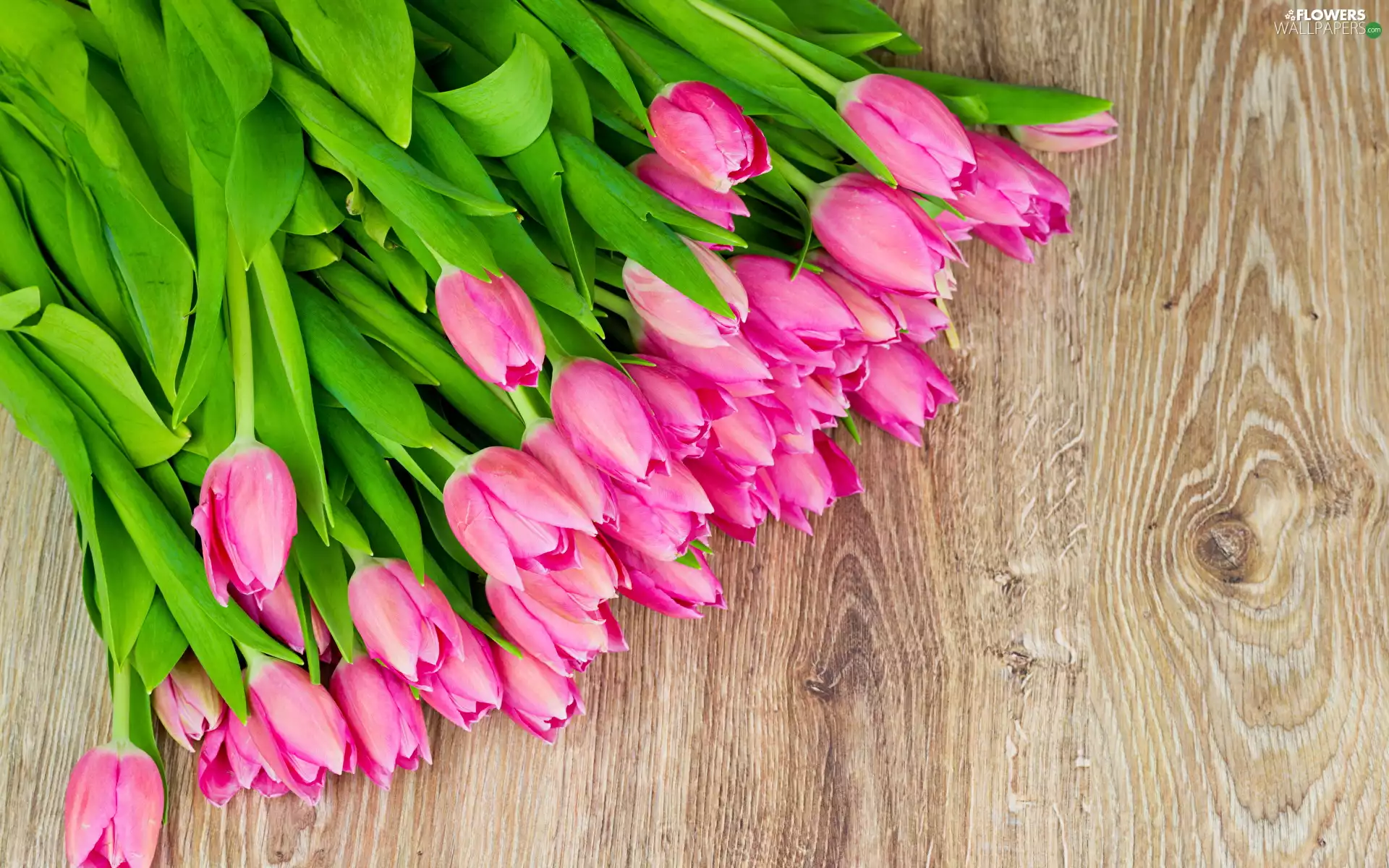 stems, Table, bouquet, Pink tulips, Flowers
