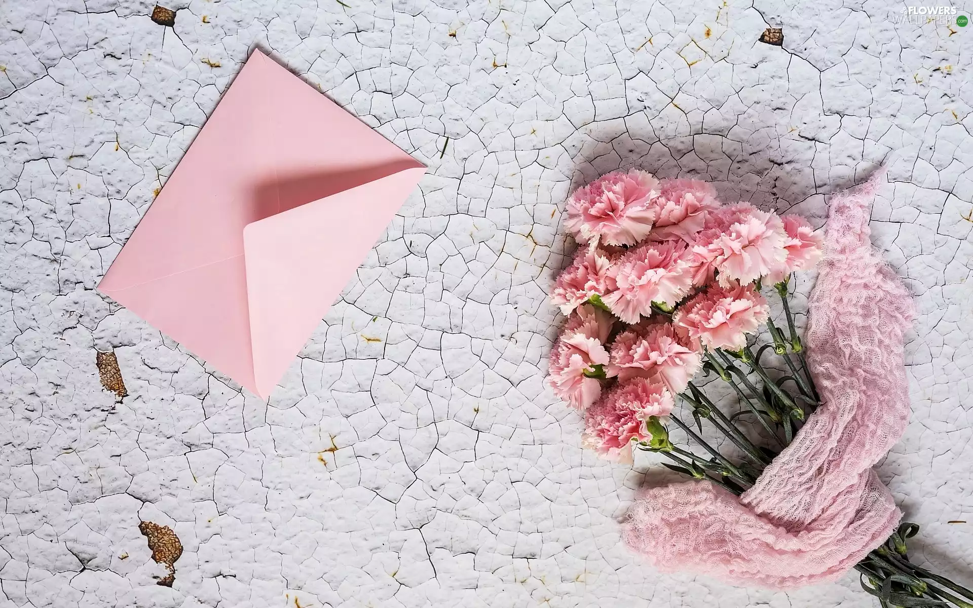 Flowers, cloves, envelope, Pink
