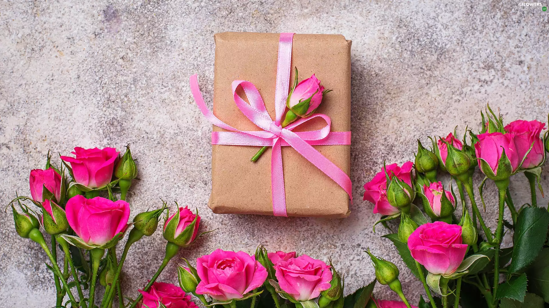Flowers, roses, Present, Pink