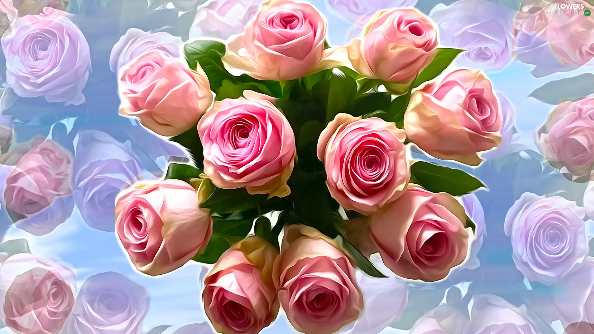 Flowers, developed, roses, Pink