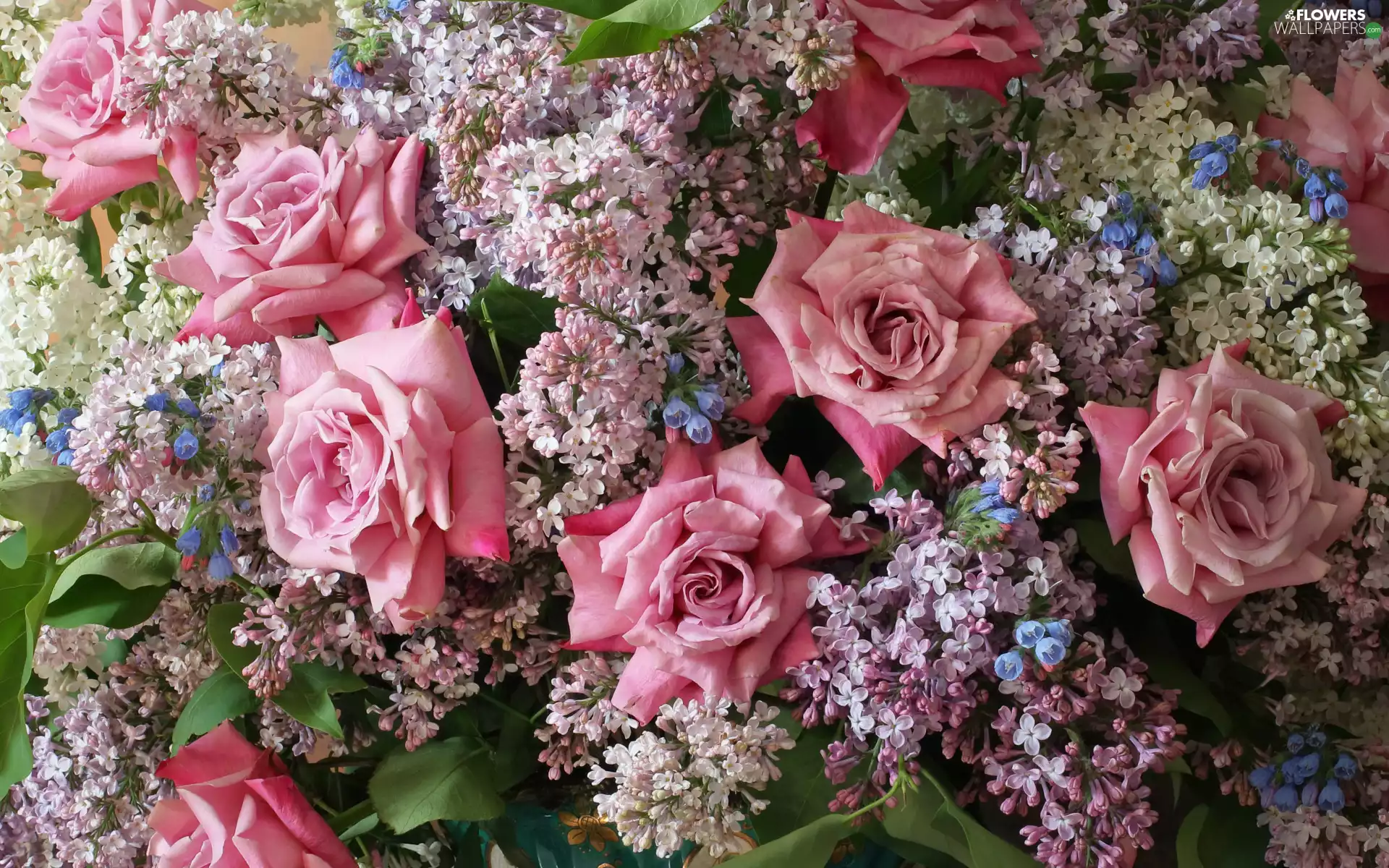 without, bouquet, roses, Pink, Syringa, Flowers