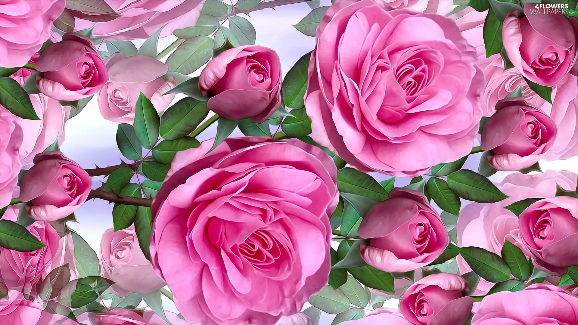 graphics, Flowers, roses, Pink