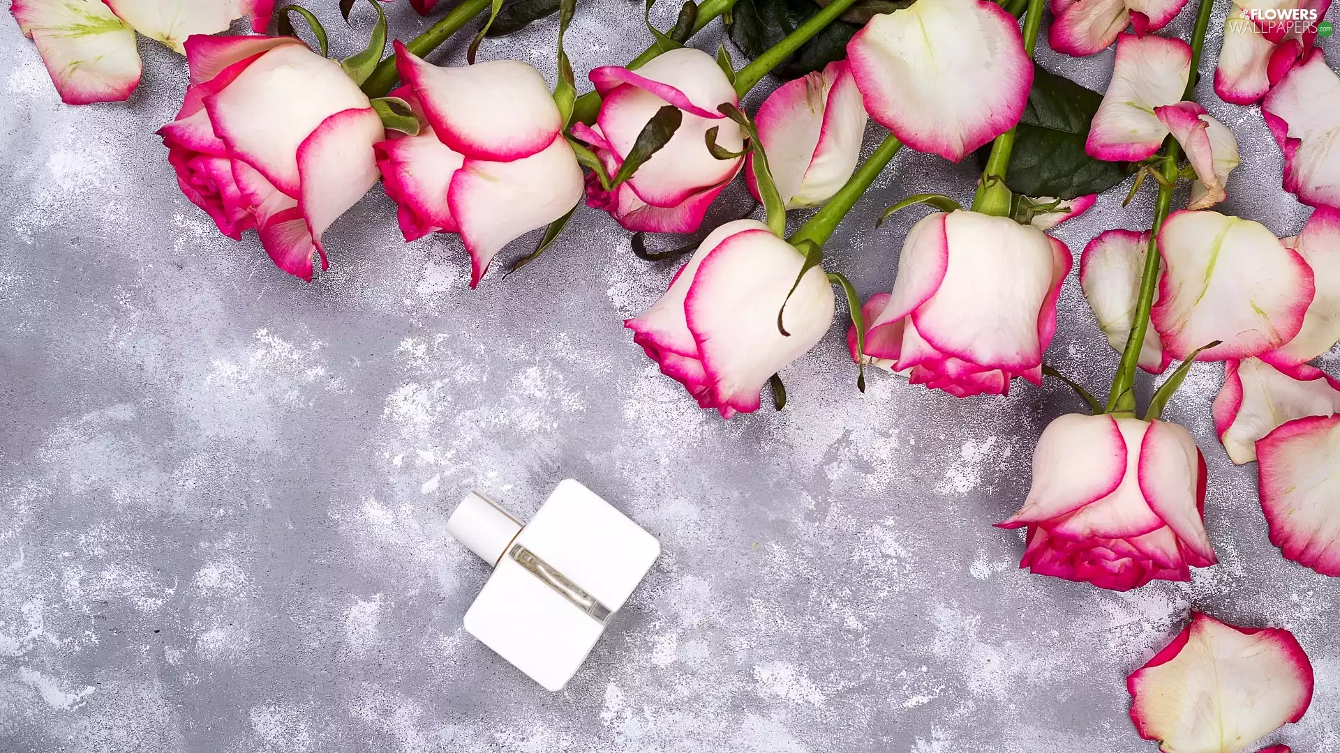 bottle, roses, Grey, background, perfume, white and pink