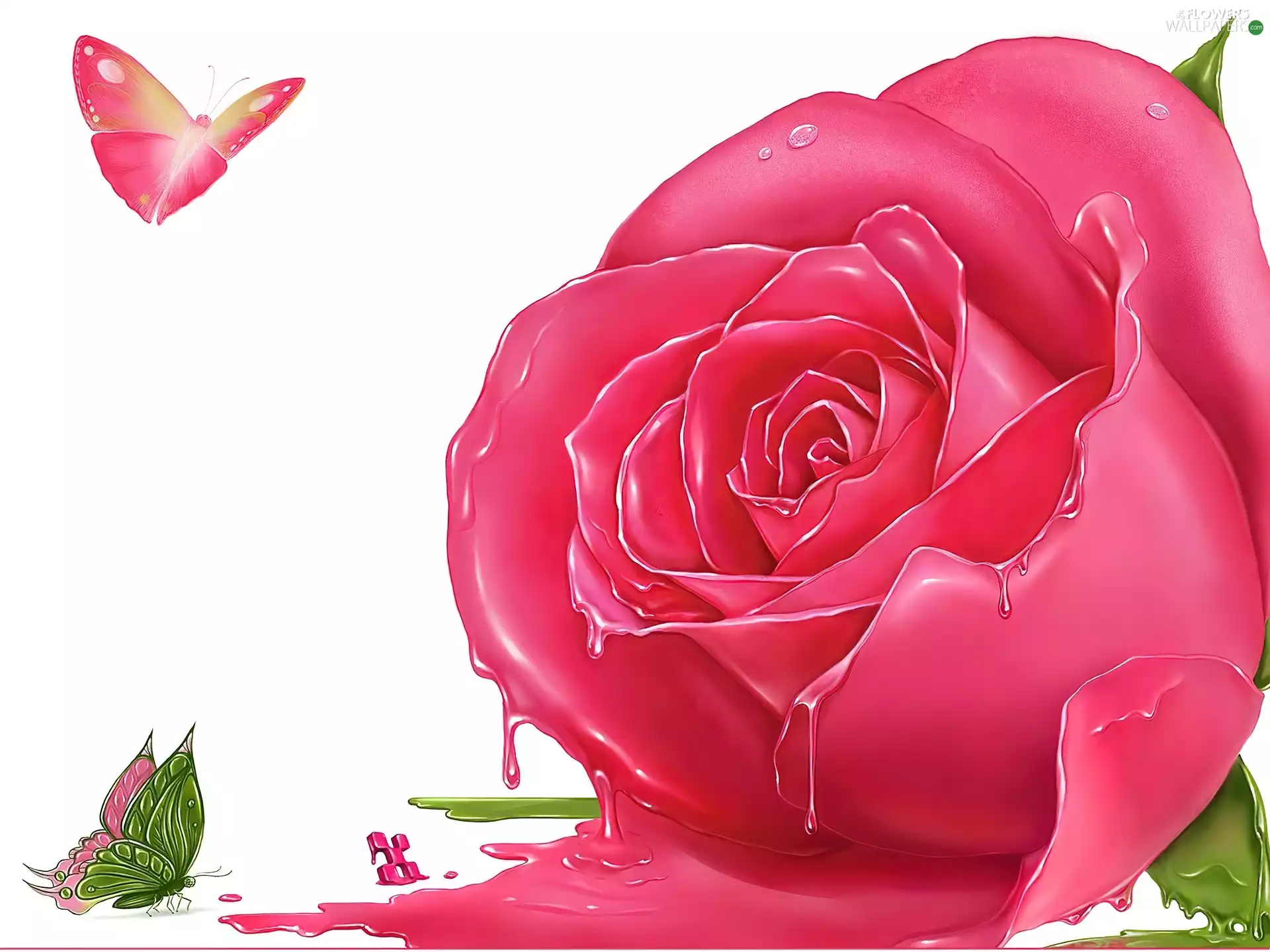 melting, rose, butterfly, Pink