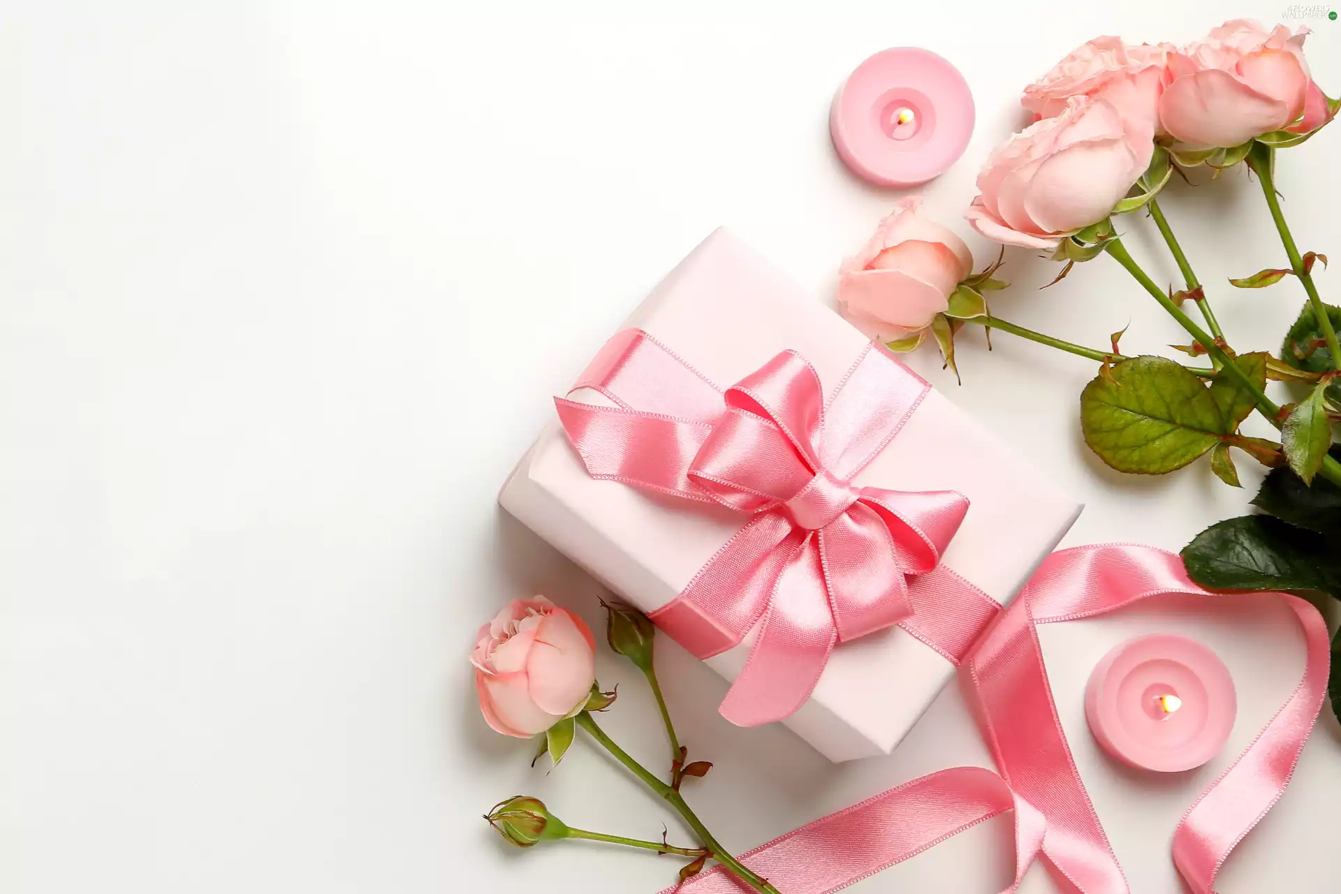 Pink, Flowers, roses, Box, Candles, white background, Loop, ribbon, Present