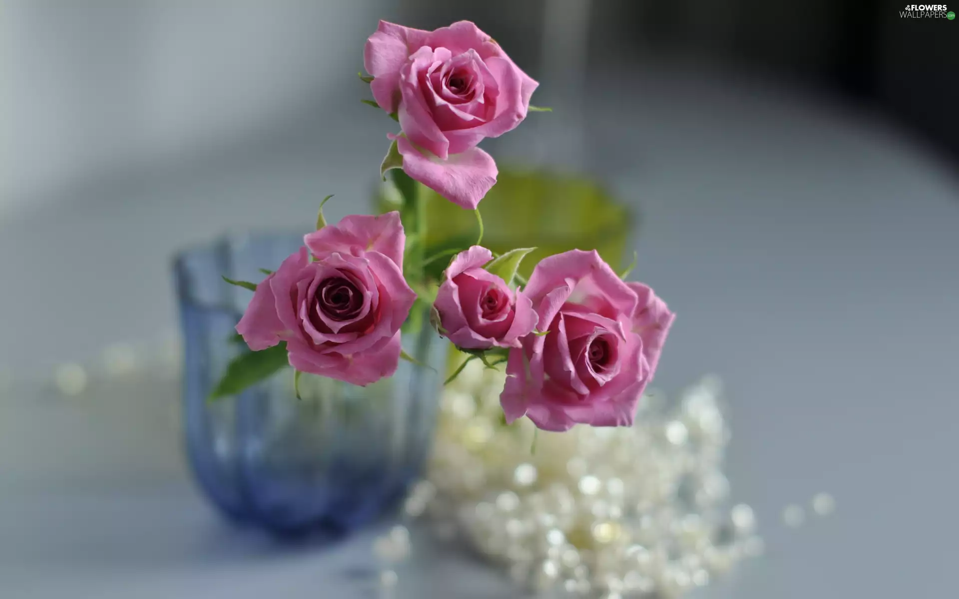 Pink Roses