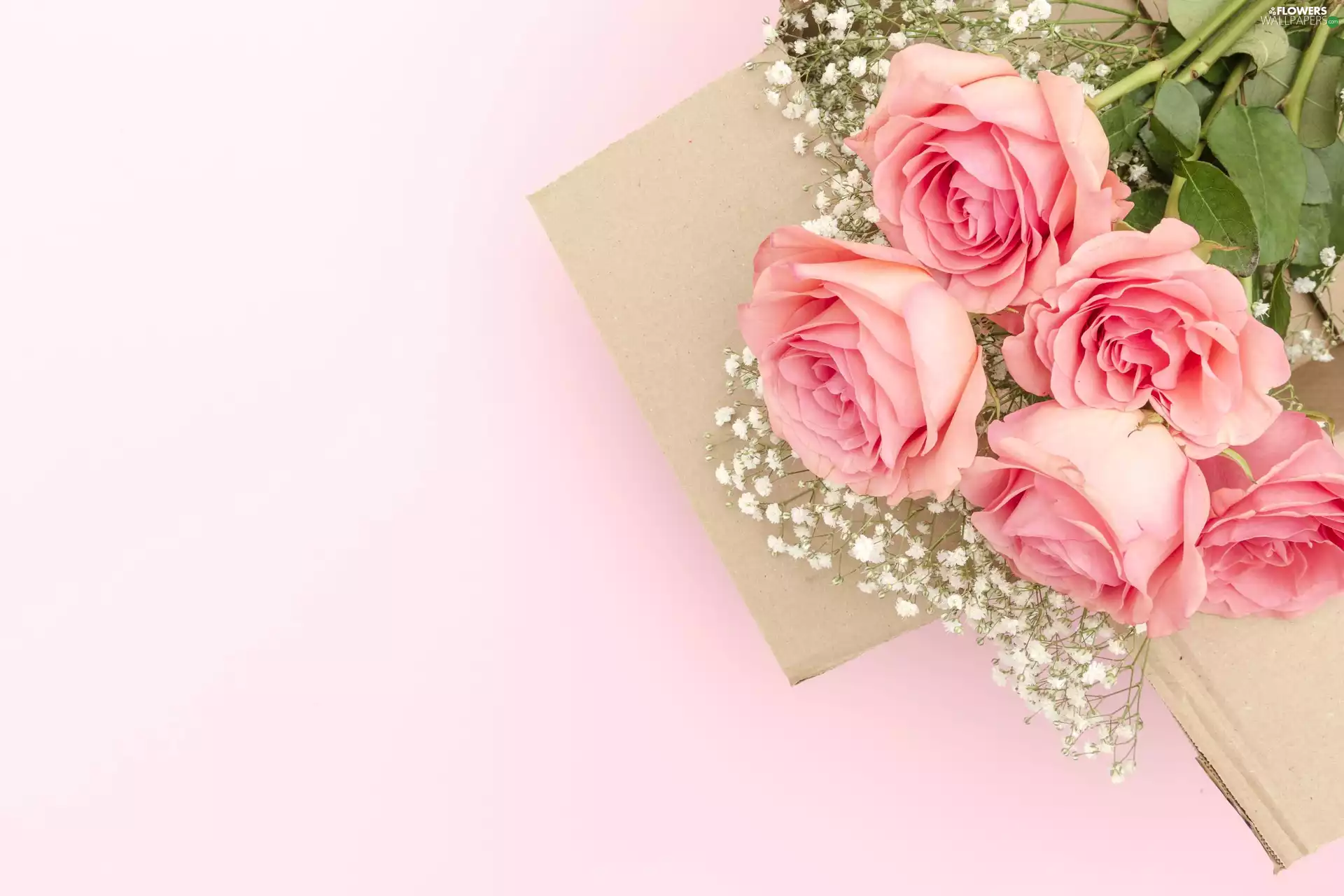 Gipsówka, Flowers, background, Pink, paper, roses