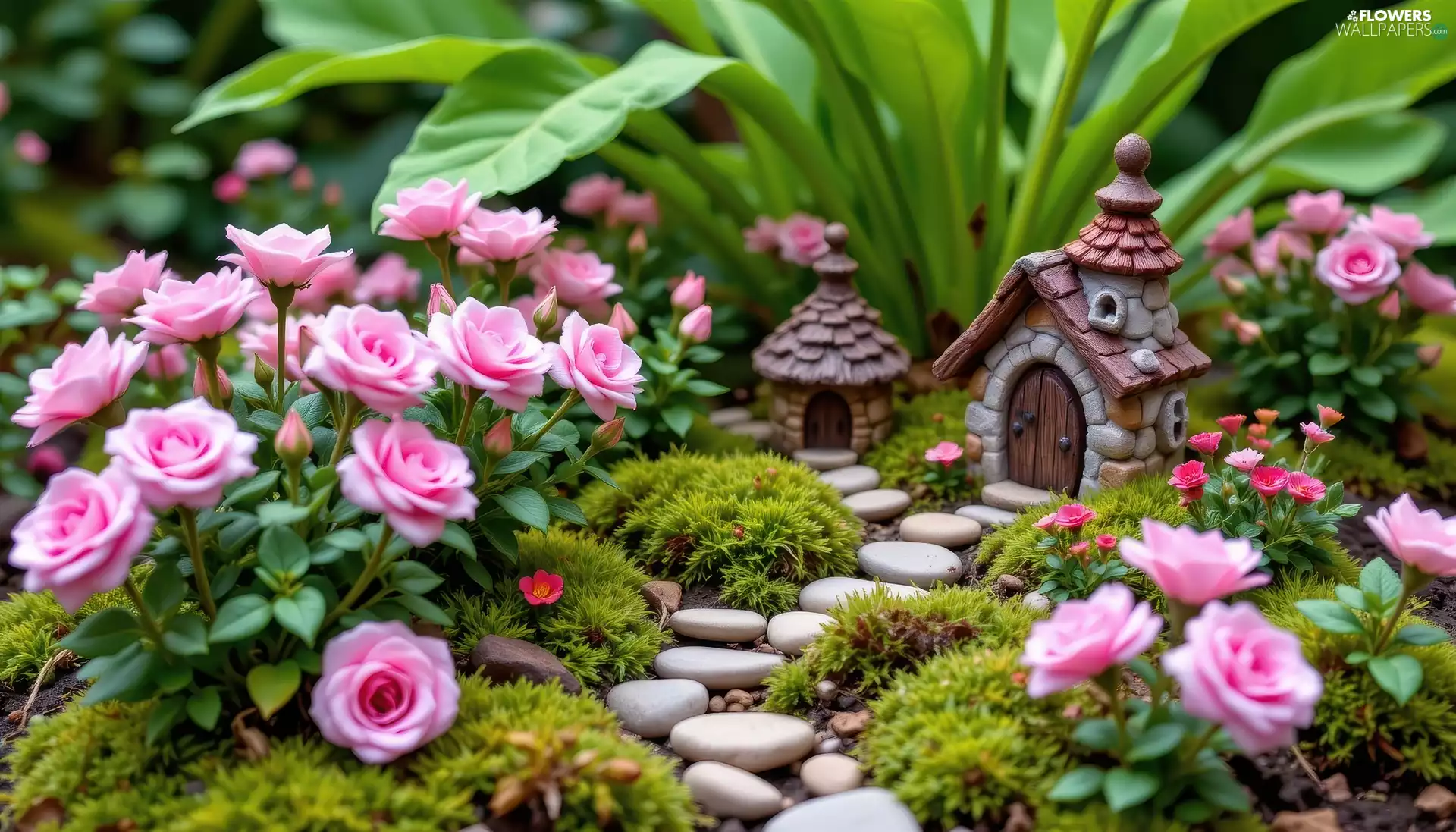 roses, Flowers, Stones, Pink, Garden, Moss, Houses