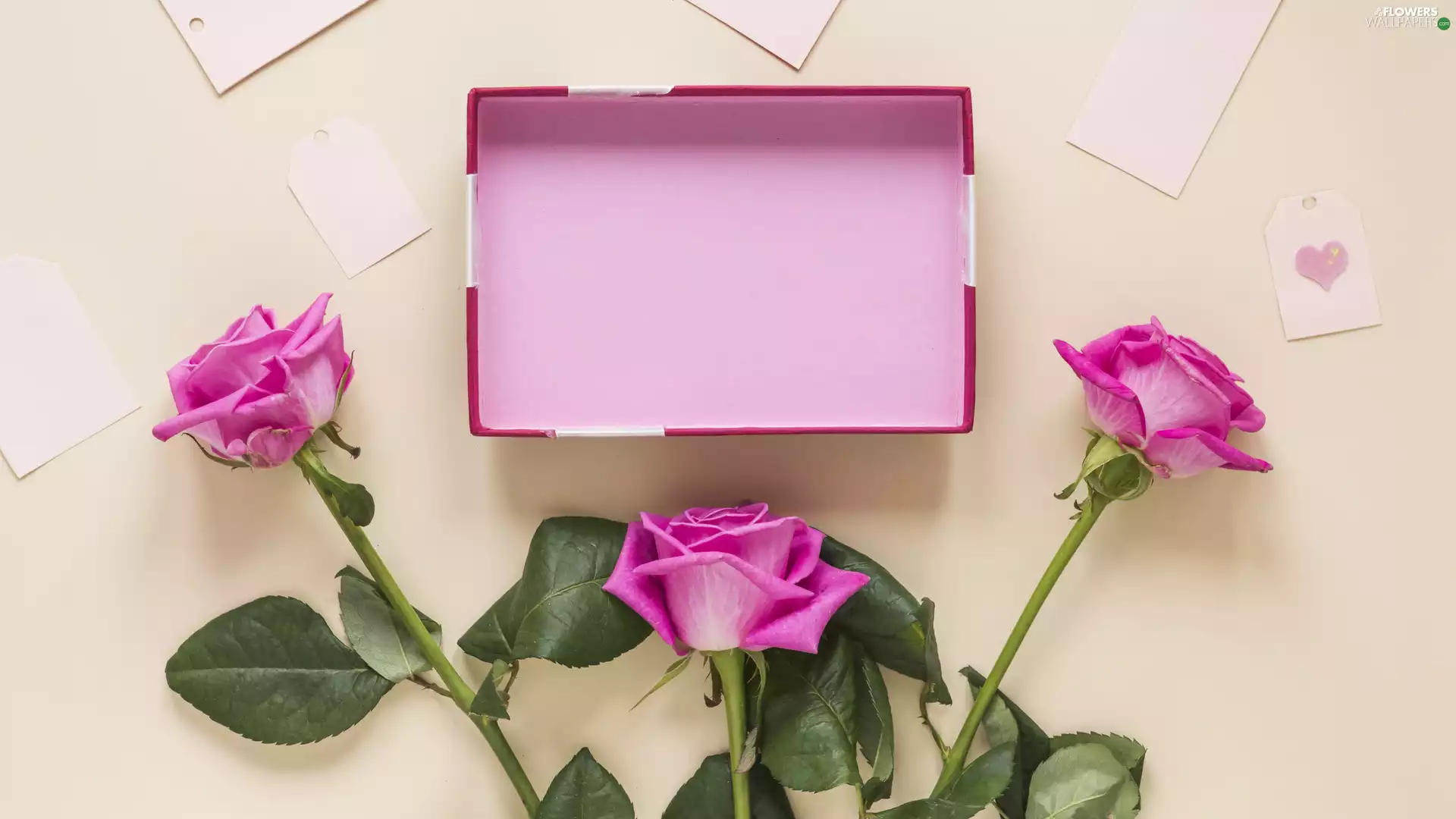 Box, Heart teddybear, Pink, roses, Three