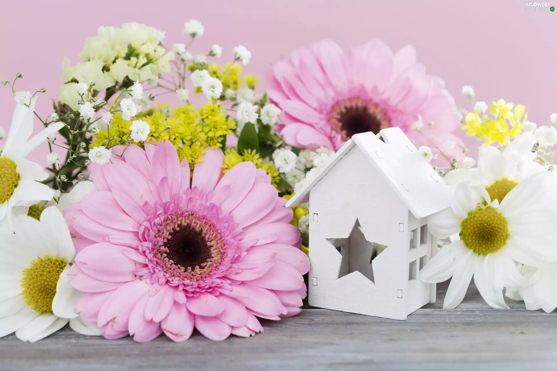 Pink, Flowers, gerberas, White, Home, composition, White, wooden, daisy
