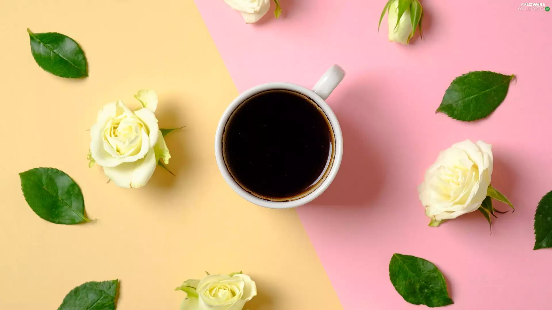 roses, coffee, Yellow-Pink, background, leaves, White