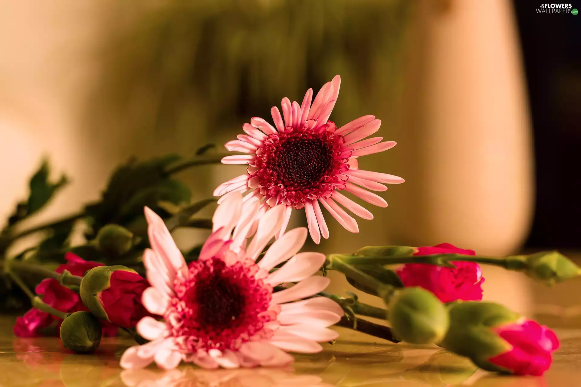 pitcher, bouquet, flowers