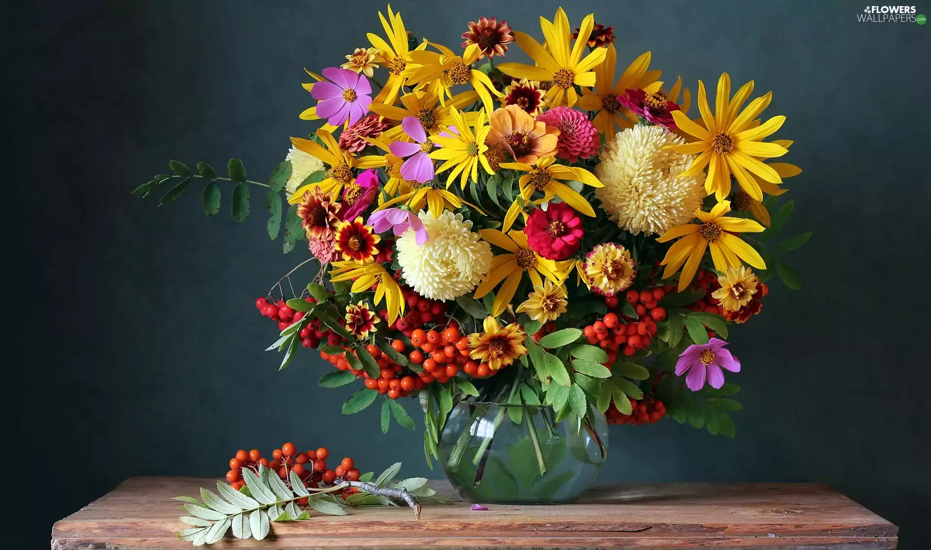 bouquet, Plant, Flowers, Autumn, color
